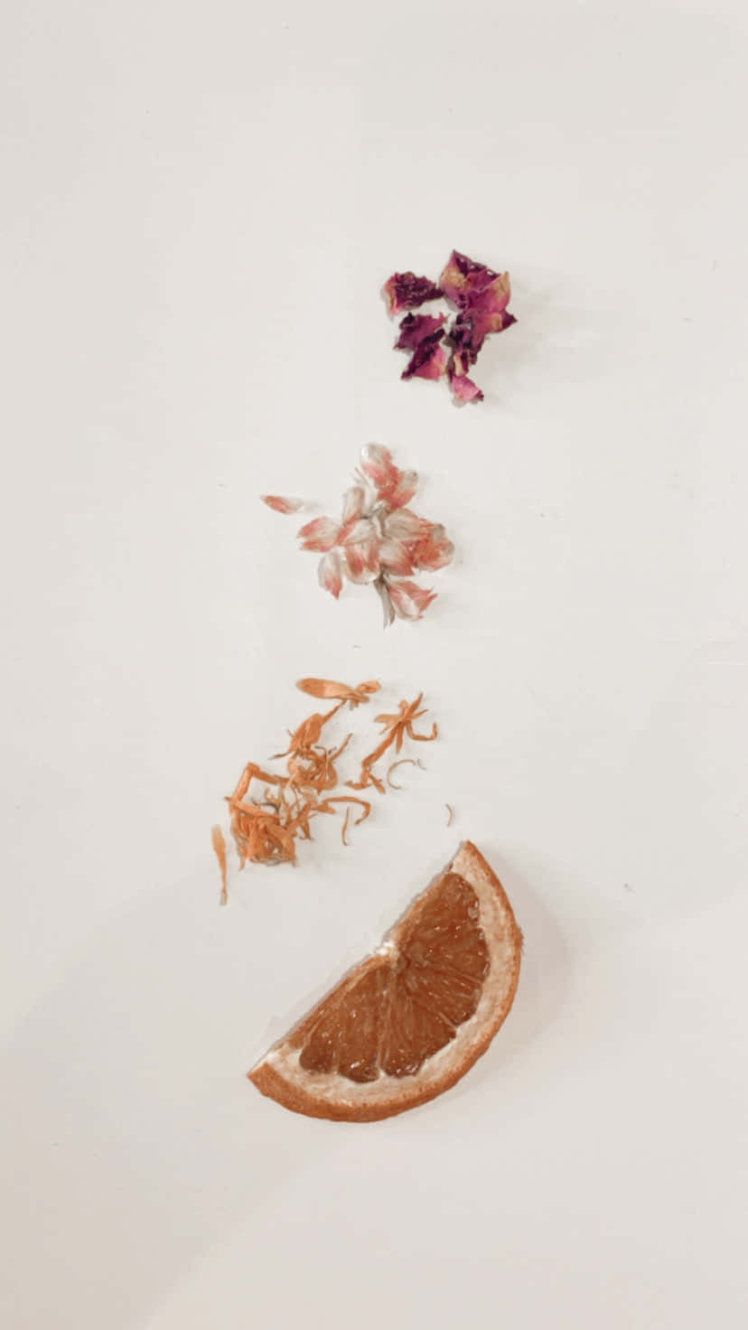 Enjoy The Colors Of Minimalist Autumn. Background