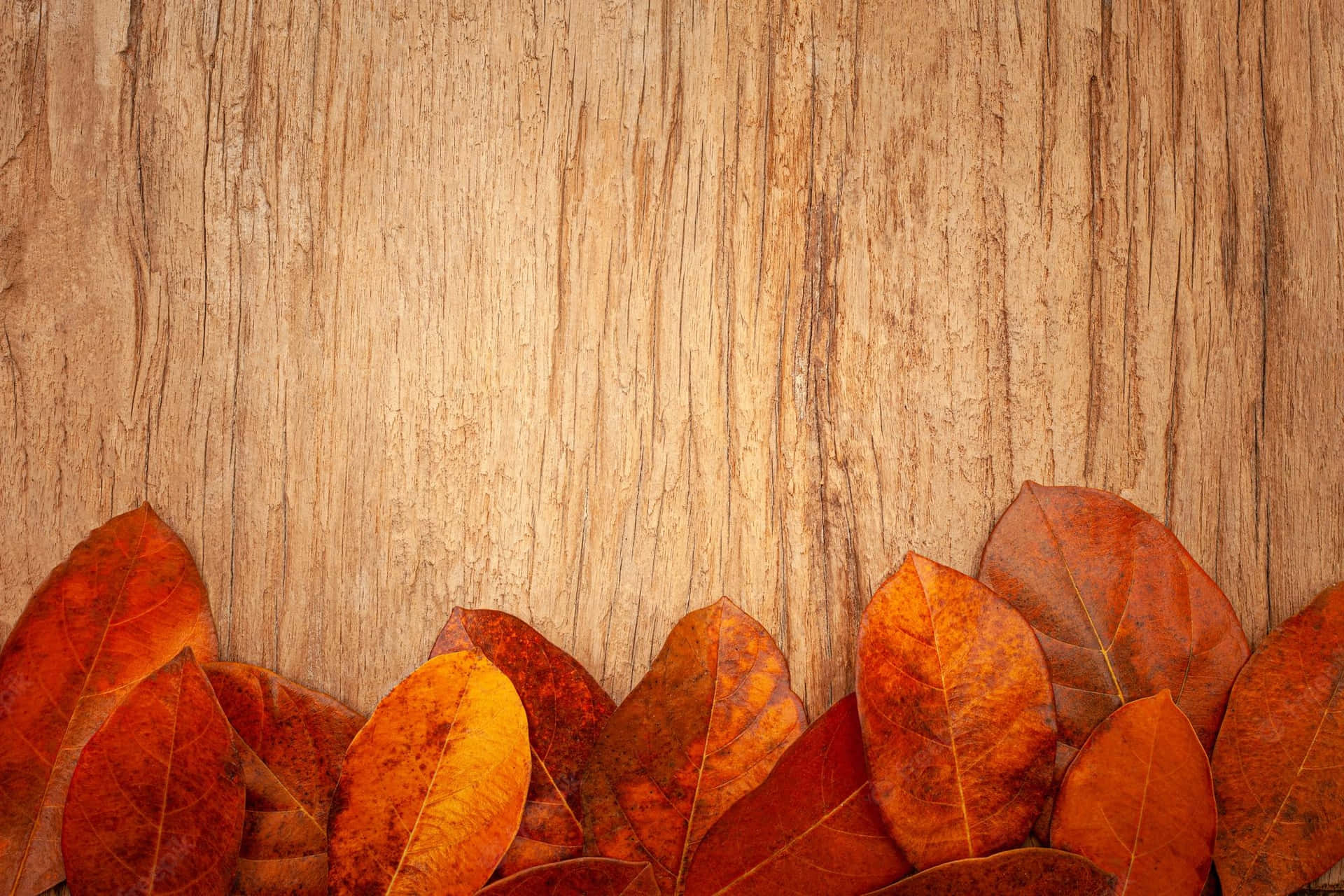 Enjoy The Colors Of Vintage Autumn Background