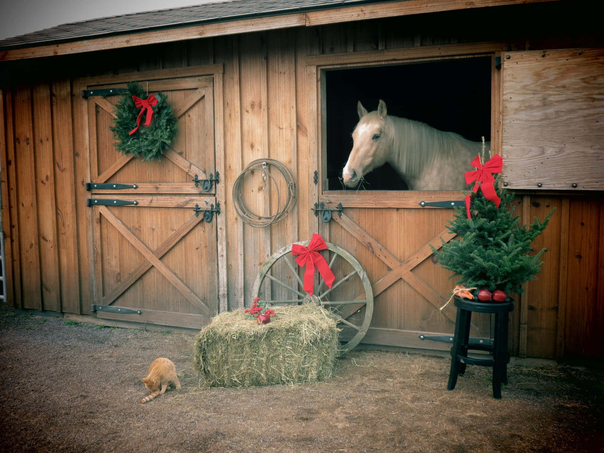 Enjoy The Cowboy Christmas Spirit! Background