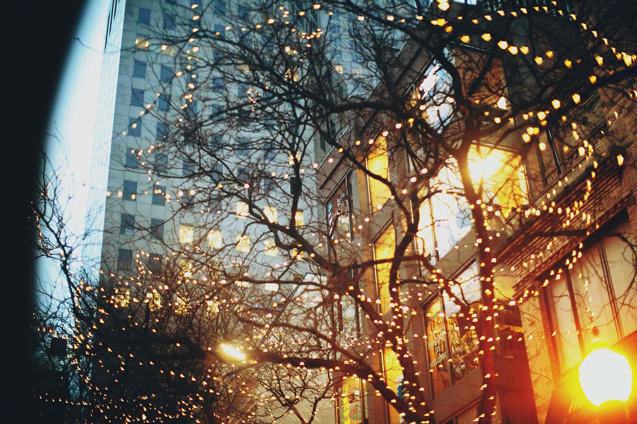 Enjoy The Cozy Winter Season By Curling Up With A Warm Cup Of Cocoa Background