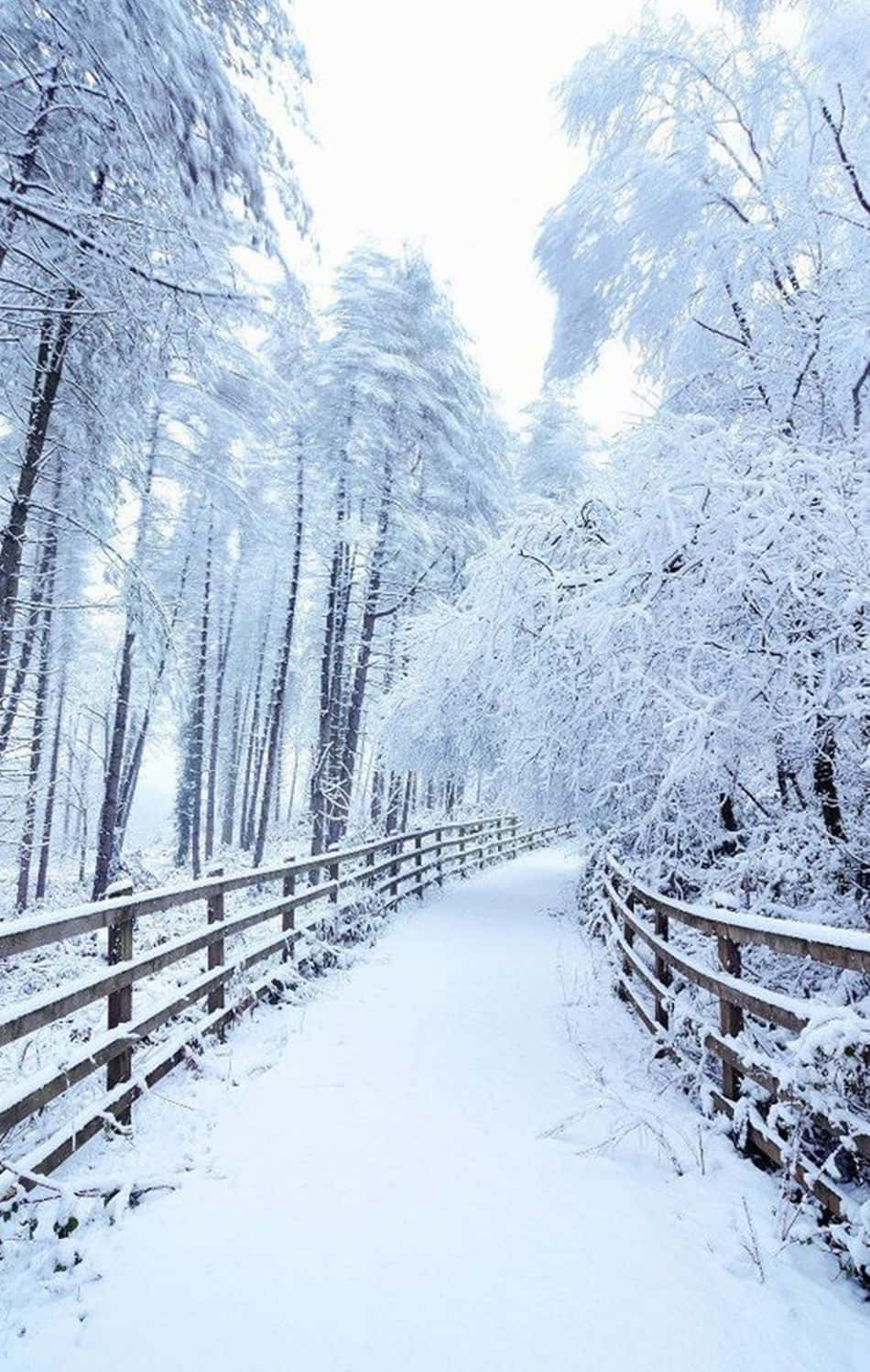 Enjoy The Crisp Snow While Camping With Your Snow Iphone