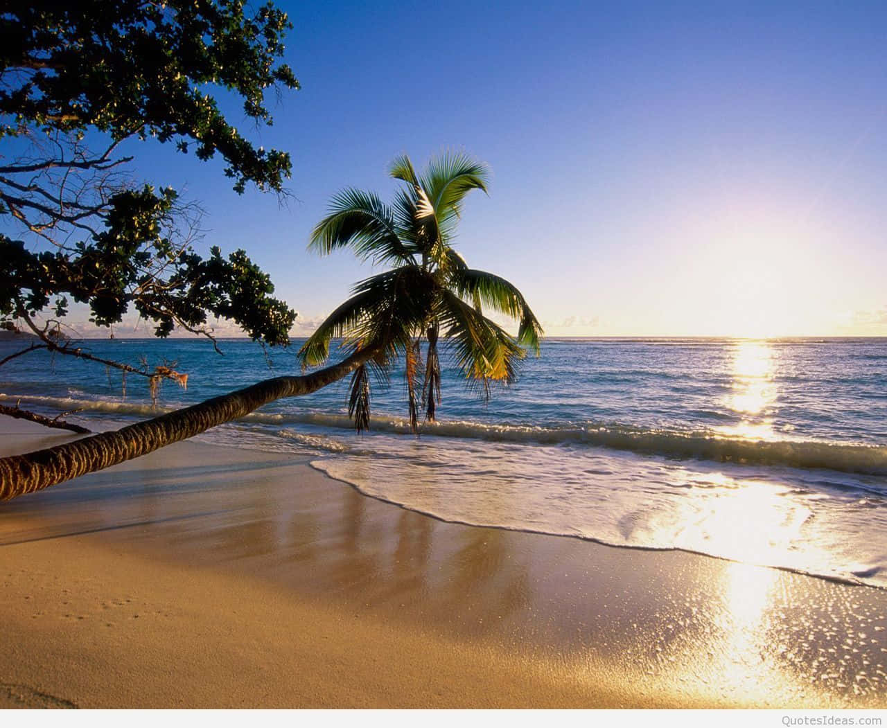Enjoy The Day Of Summer And Walk On The Beach! Background