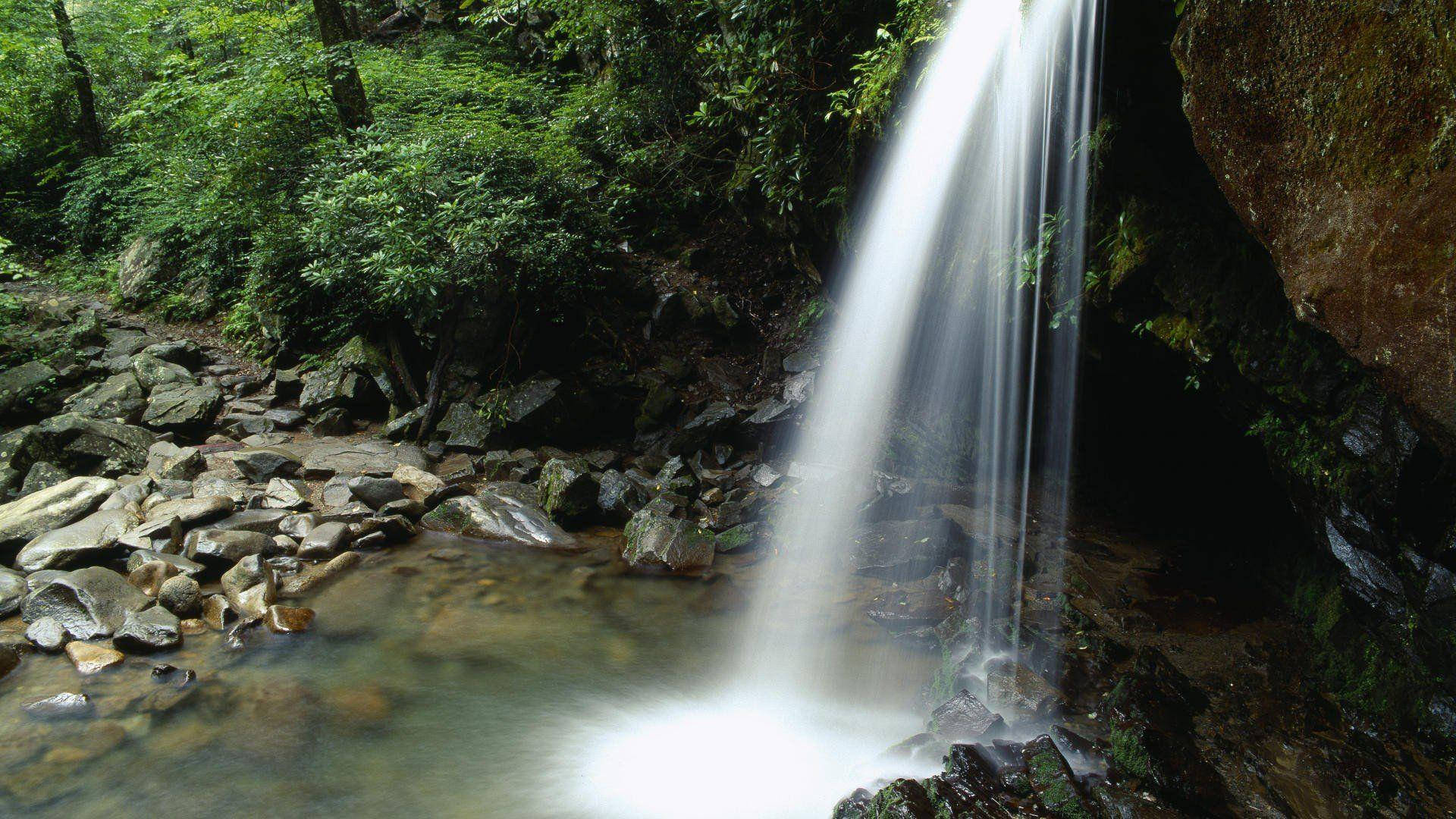 Enjoy The Dazzling Views Of The Great Smoky Mountains Background