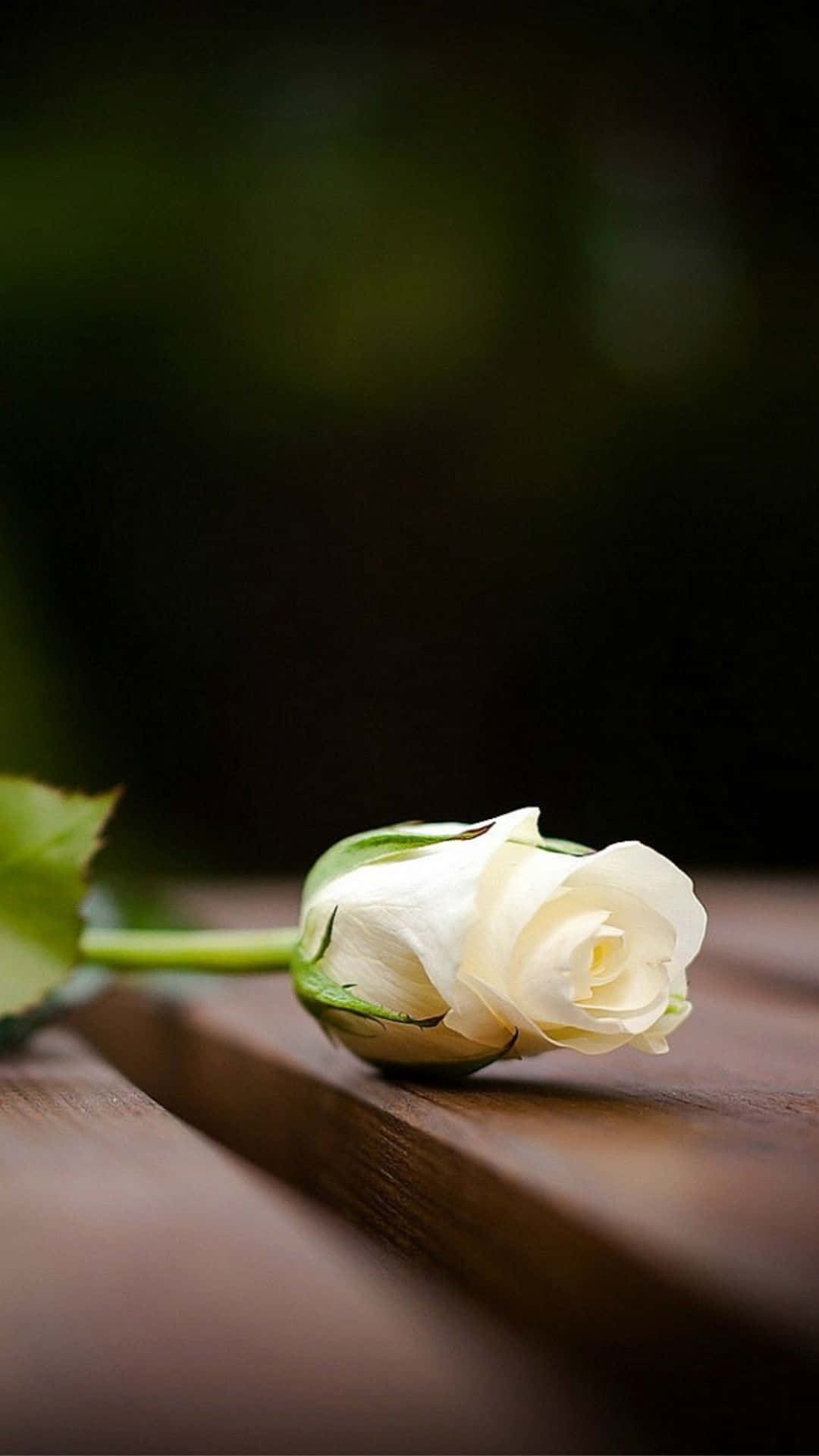 Enjoy The Elegance Of The Latest Model Of Iphone Background