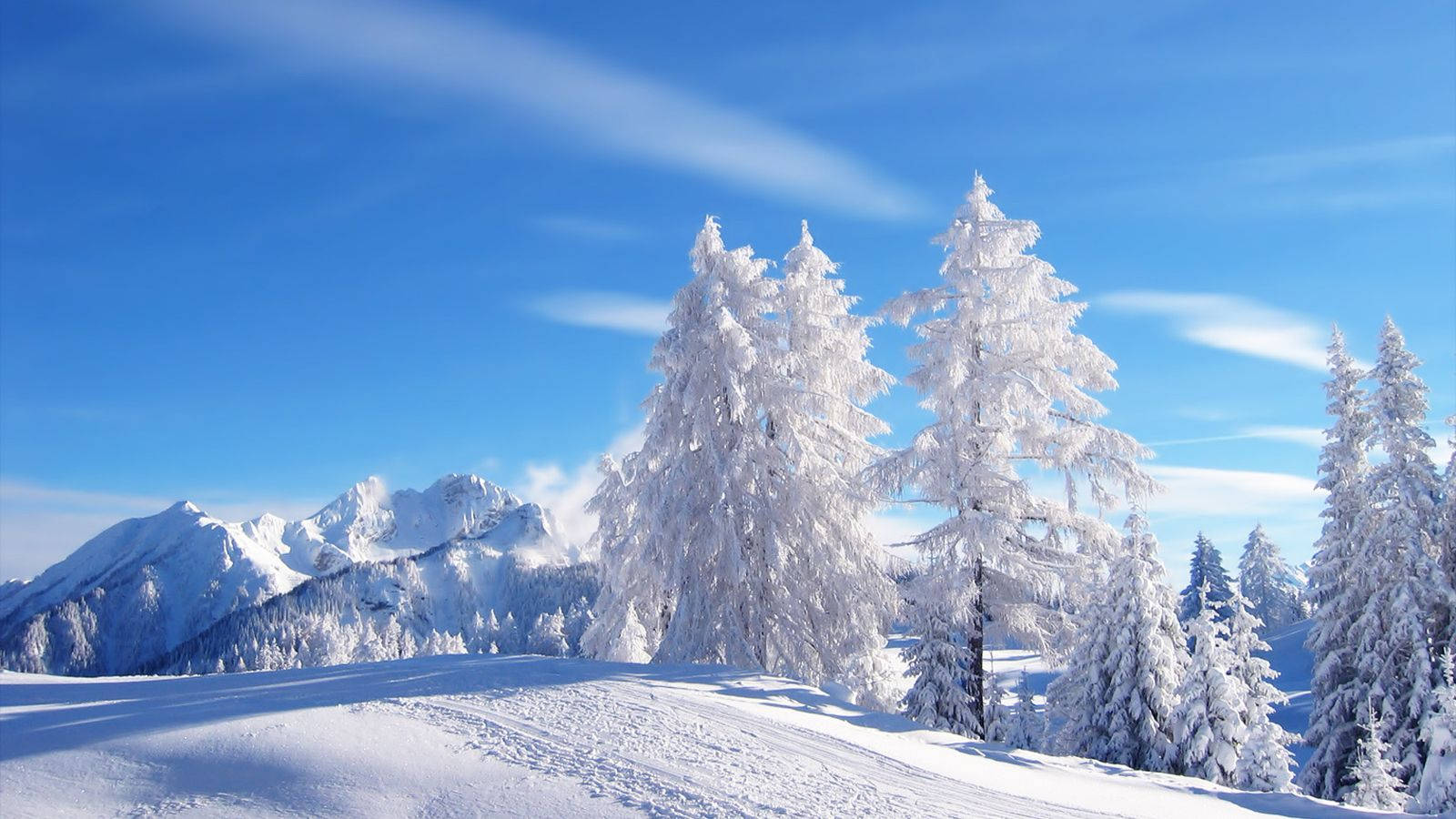 Enjoy The Enchanting Beauty Of Winter With Snow Desktop. Background