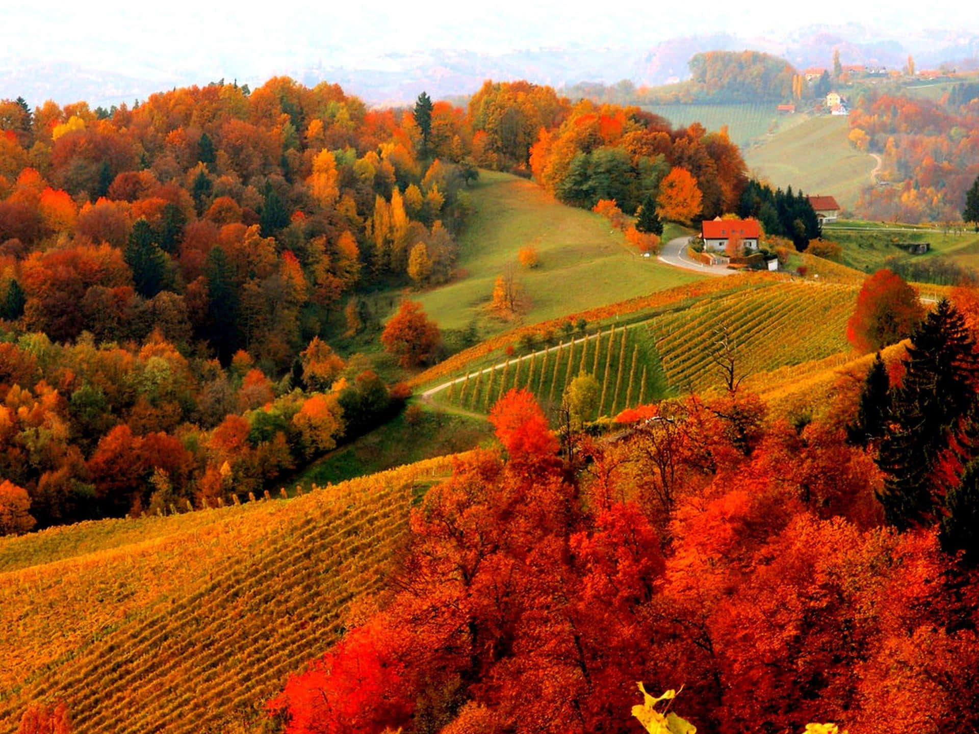 Enjoy The Fall Foliage From A Rocky Peak Background