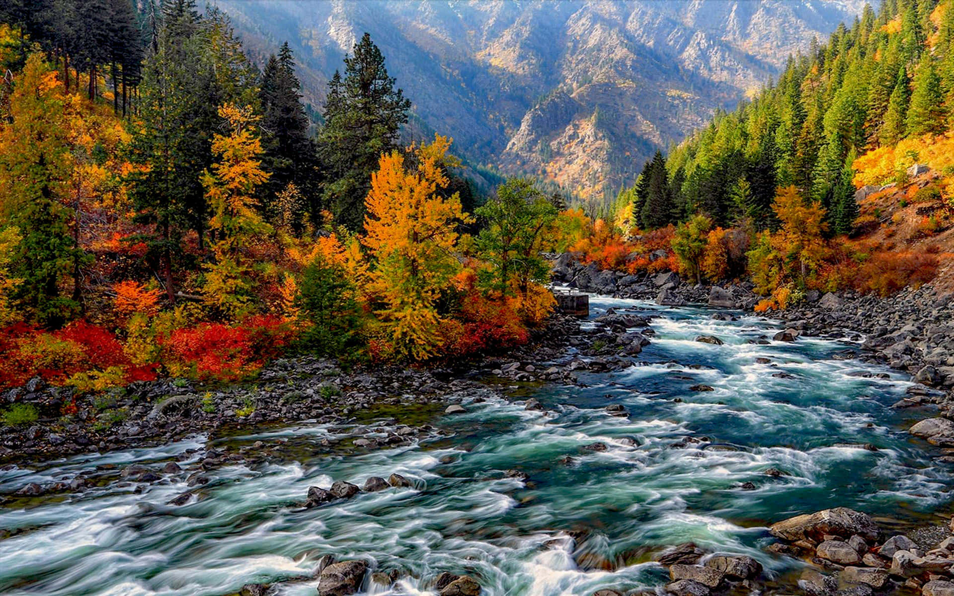 Enjoy The Fall Mountain Scenery With Vibrant Hues Of Red And Yellow Background