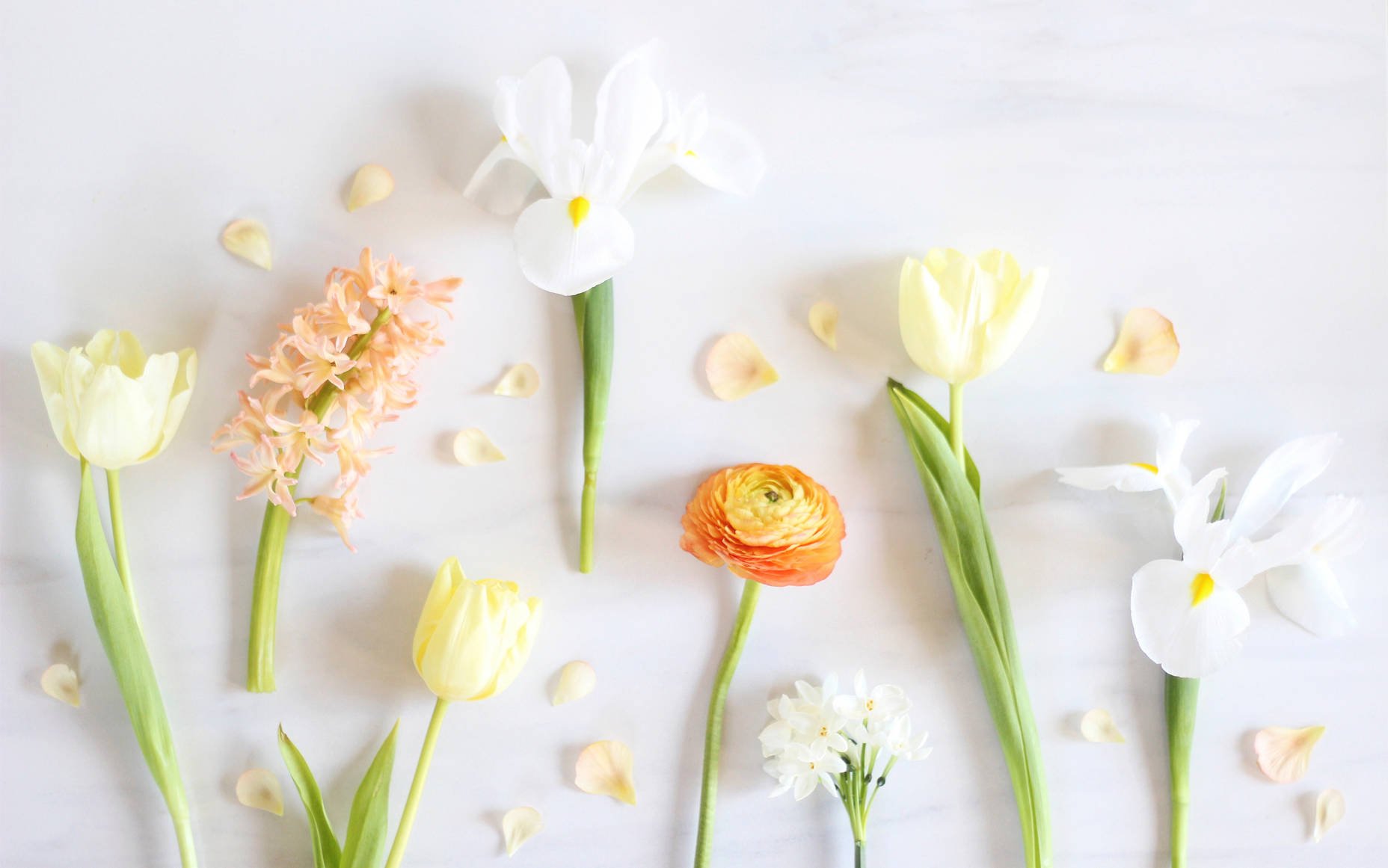 Enjoy The Freshness Of Spring With A Minimalist Mood. Background