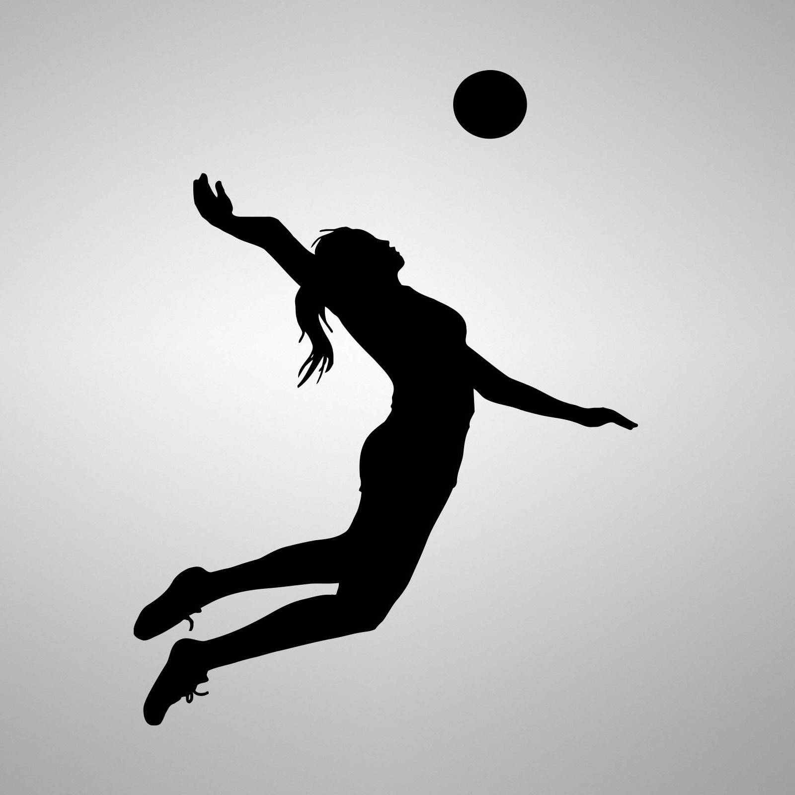 Enjoy The Game With Volleyball Laptop Background