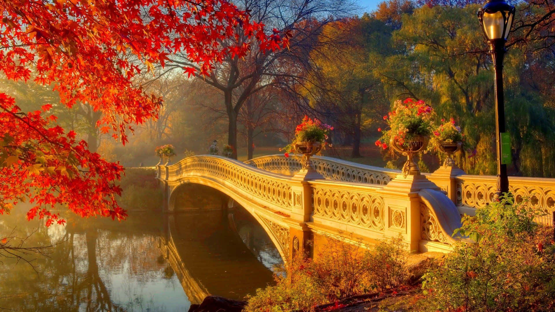 Enjoy The Golden Leaves Of New England Autumn Background