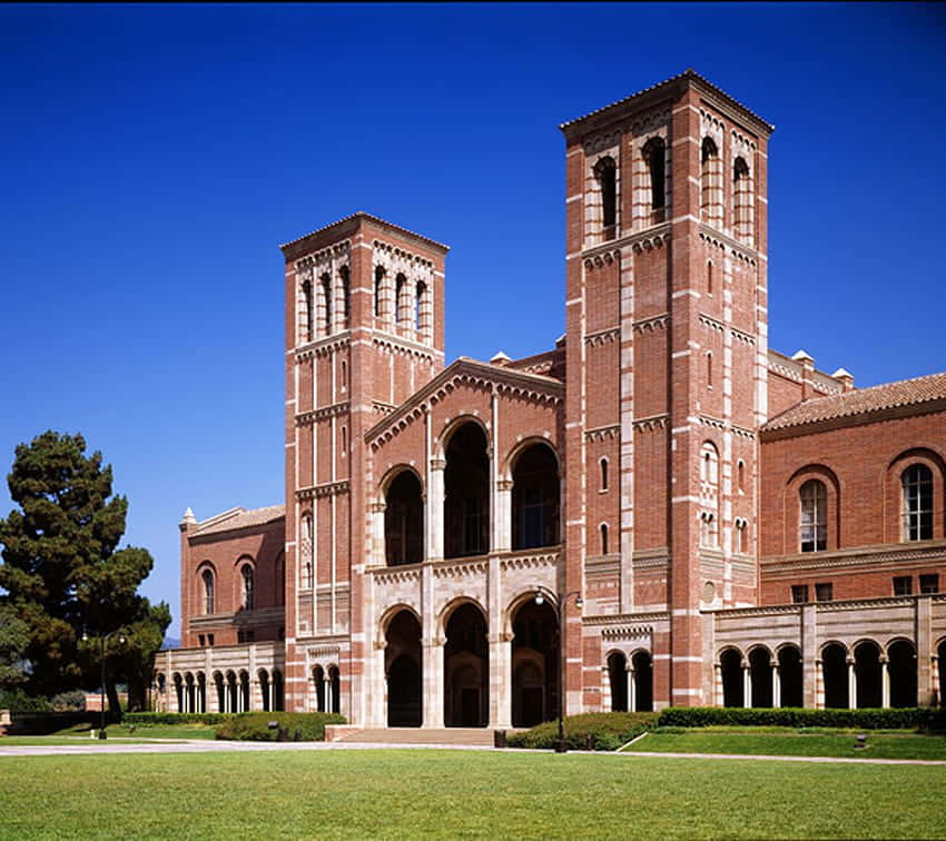 Enjoy The Lively Atmosphere Of Ucla's Stunning Campus Background