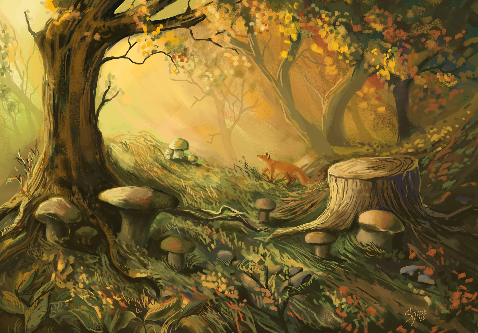 Enjoy The Magic Of Nature In A Mushroom Forest