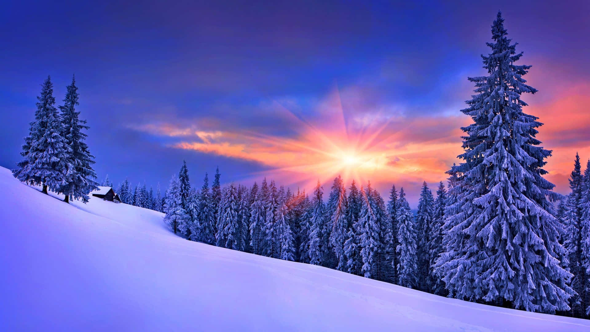 Enjoy The Magical Beauty Of Winter With This Stunning Desktop Wallpaper. Background