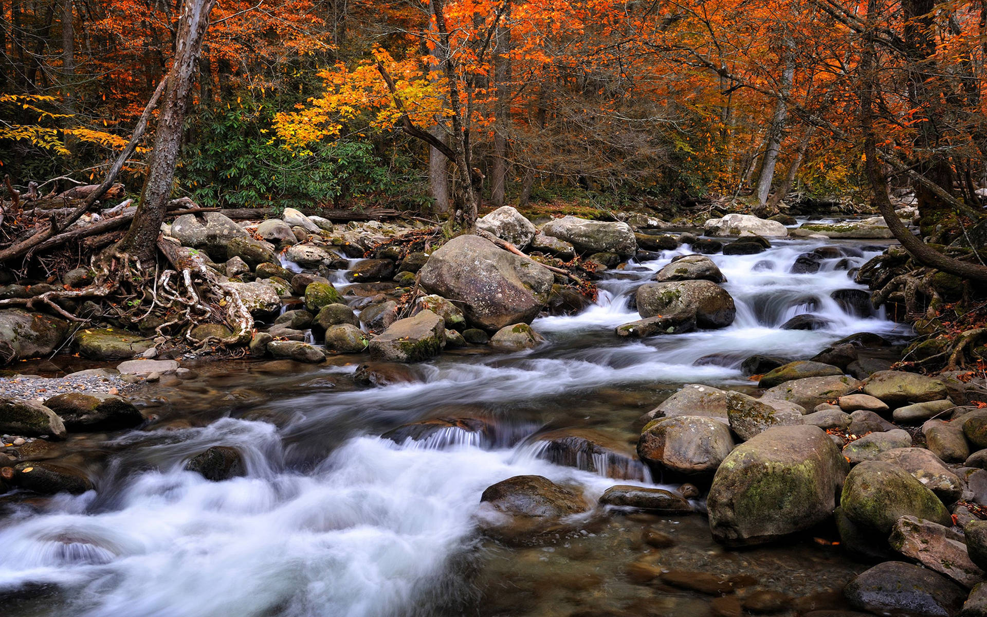 Enjoy The Majestic Beauty Of The Great Smoky Mountains Background