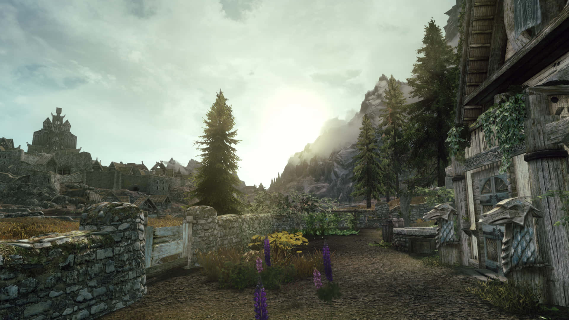 Enjoy The Mesmerizing Views Of Skyrim Background