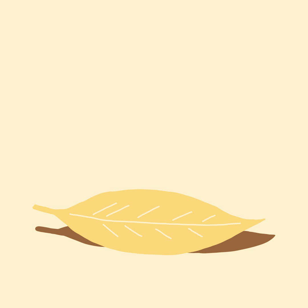 Enjoy The Minimalistic Beauty Of A Colorful Autumn Day Background