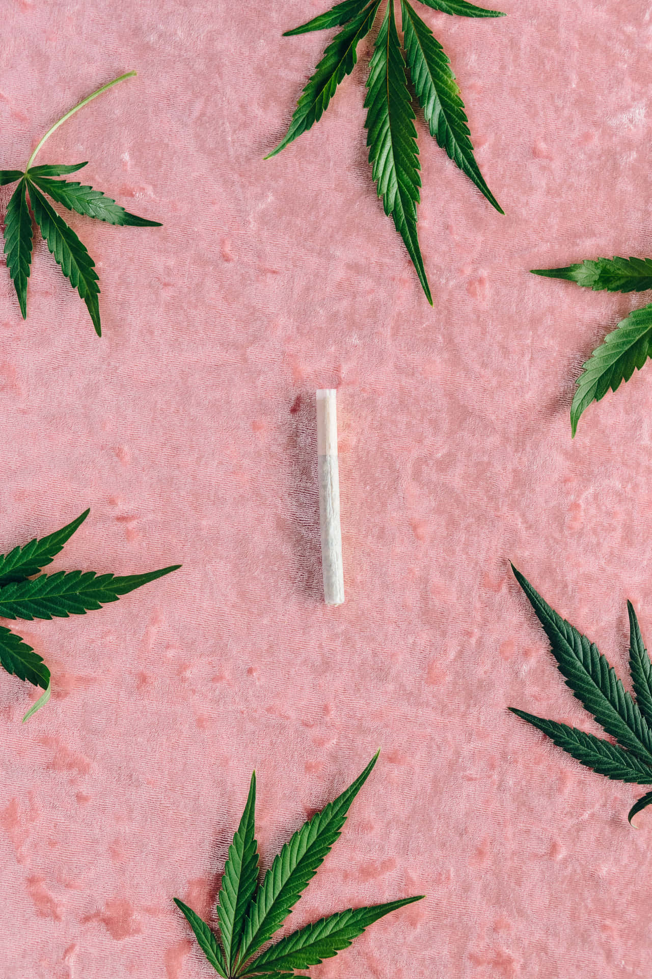 Enjoy The Moment And Relax With A Smooth Hit From This Hand-rolled Weed Blunt Background