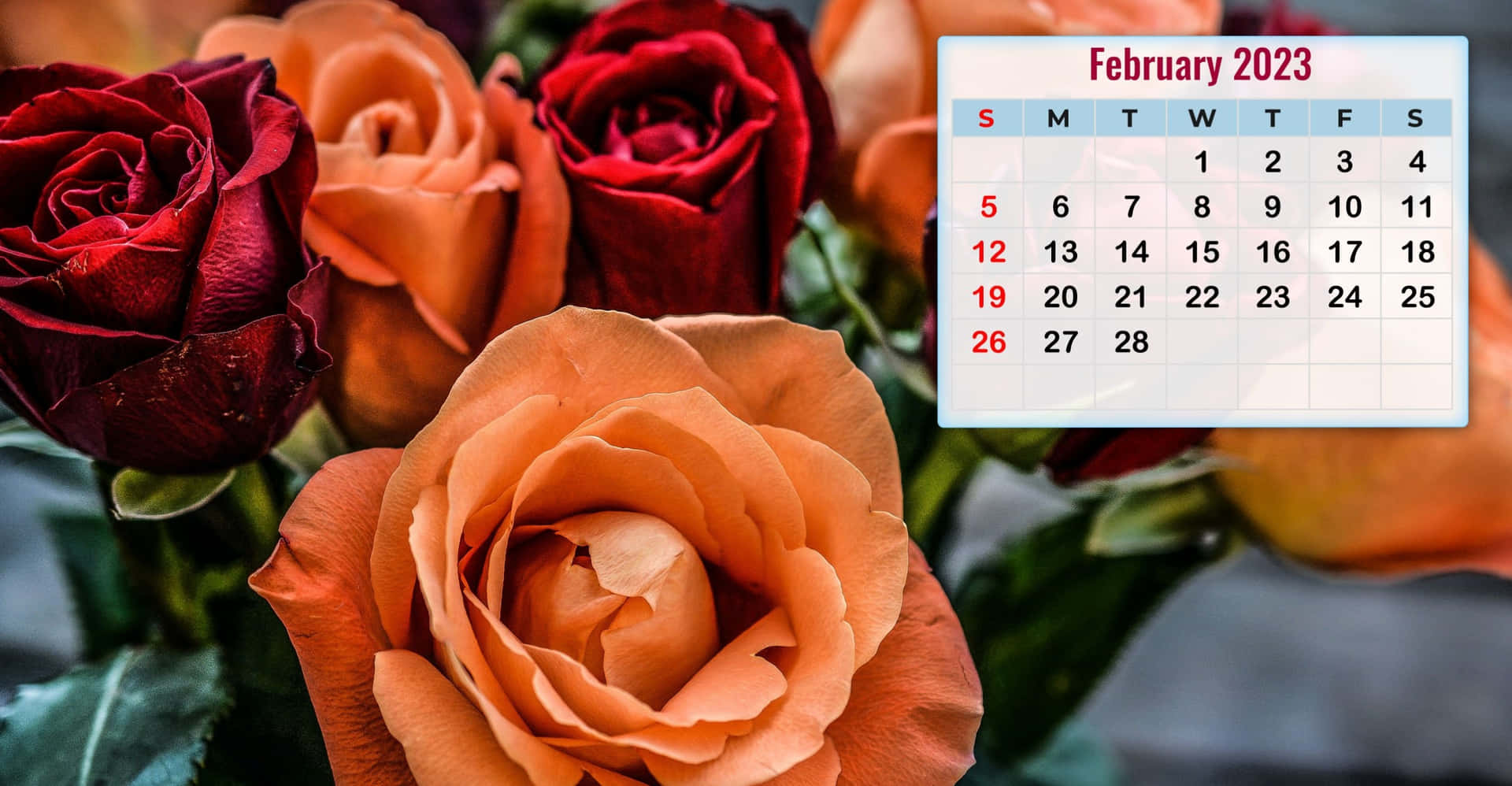 Enjoy The Month Of February With This February Calendar Background