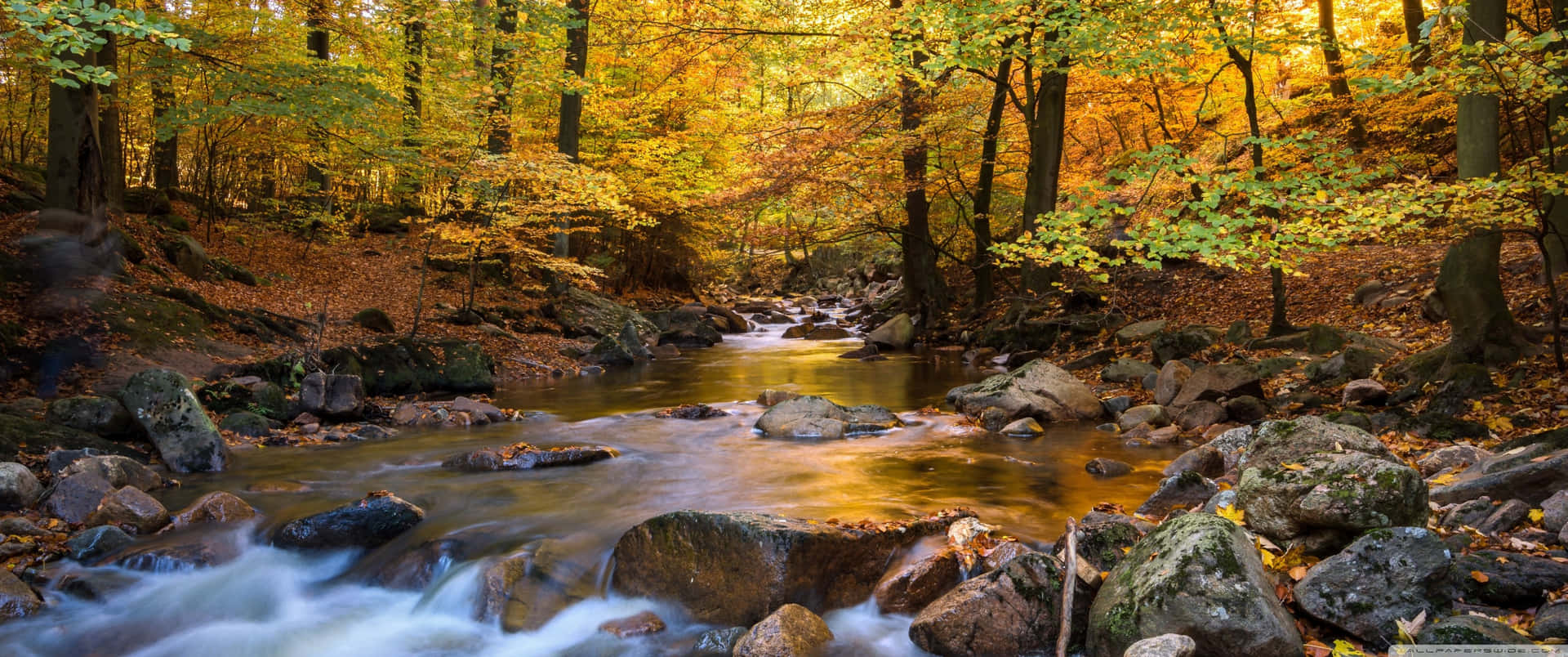 Enjoy The Nature's Beauty With A 3440x1440 Fall Background