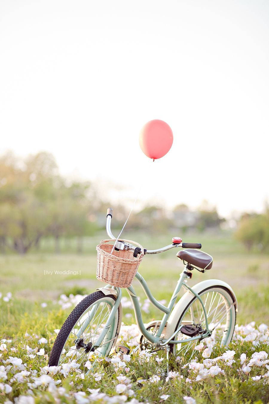 Enjoy The Outdoors With Your Bicycle And Iphone Background