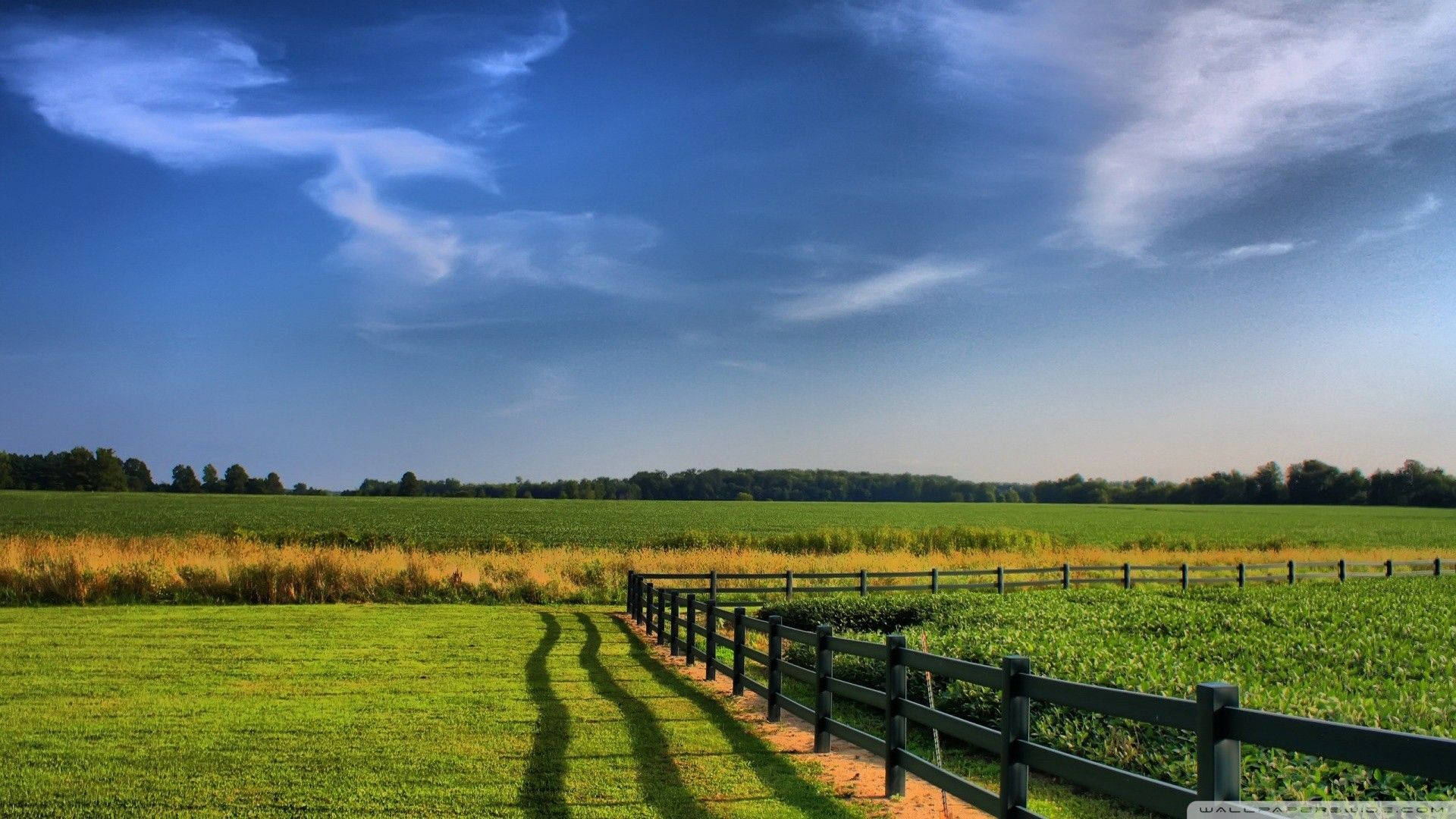 Enjoy The Pastoral Beauty Of A Rural Farm Background