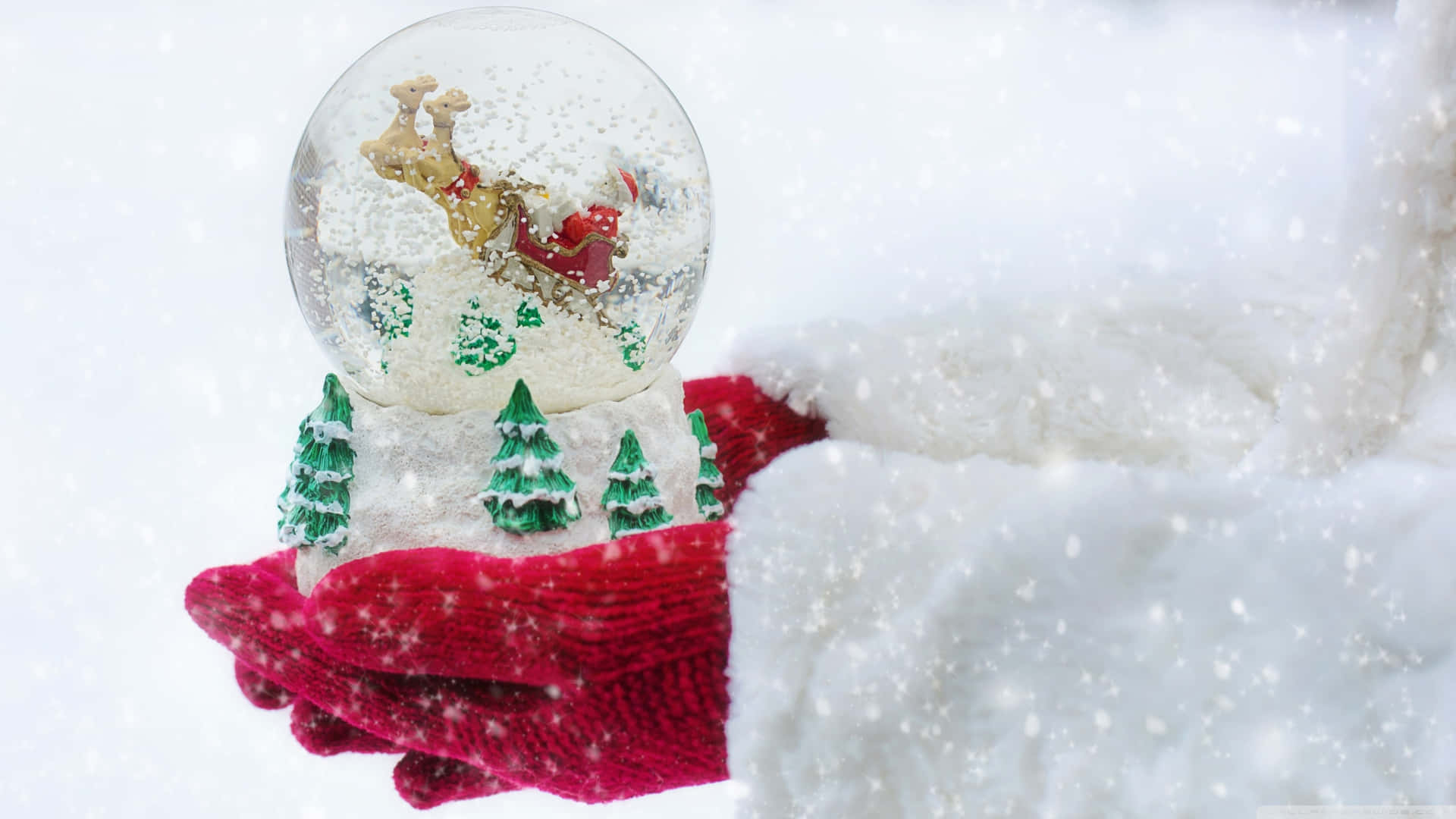 Enjoy The Peace And Beauty Of A Christmas Snow Fall. Background