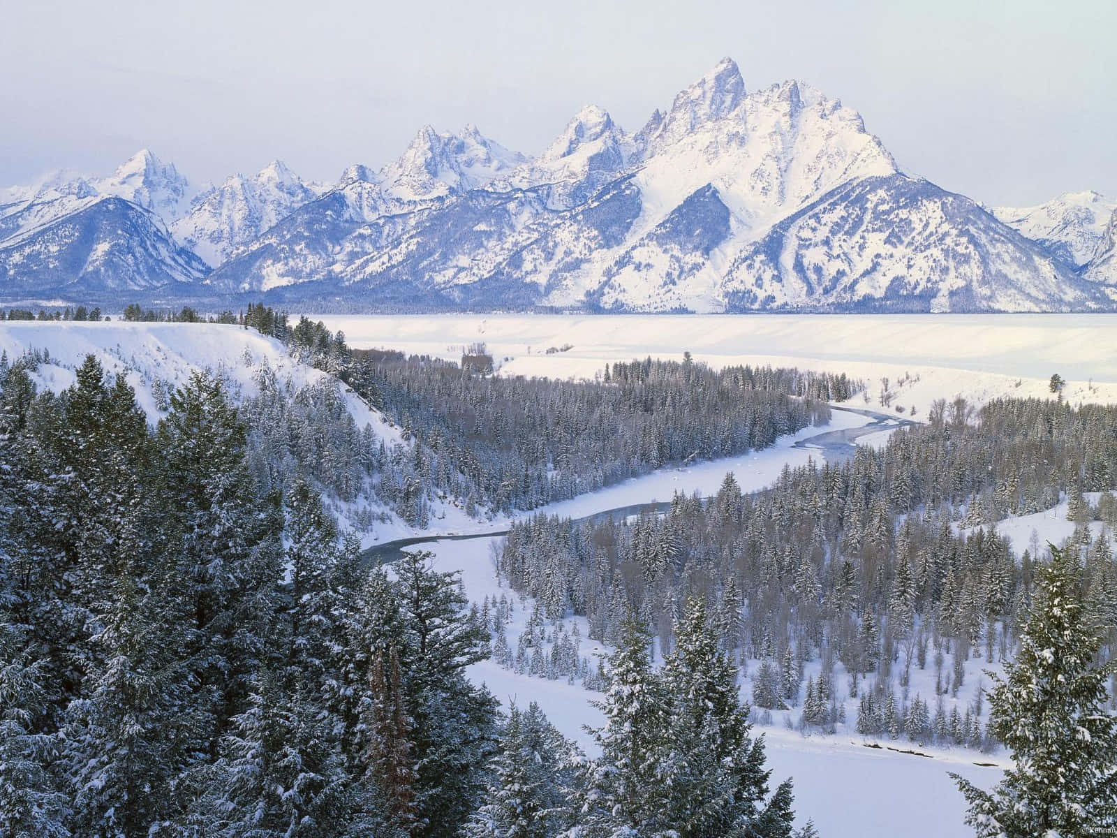 Enjoy The Peace And Beauty Of A Winter Snowfall Background