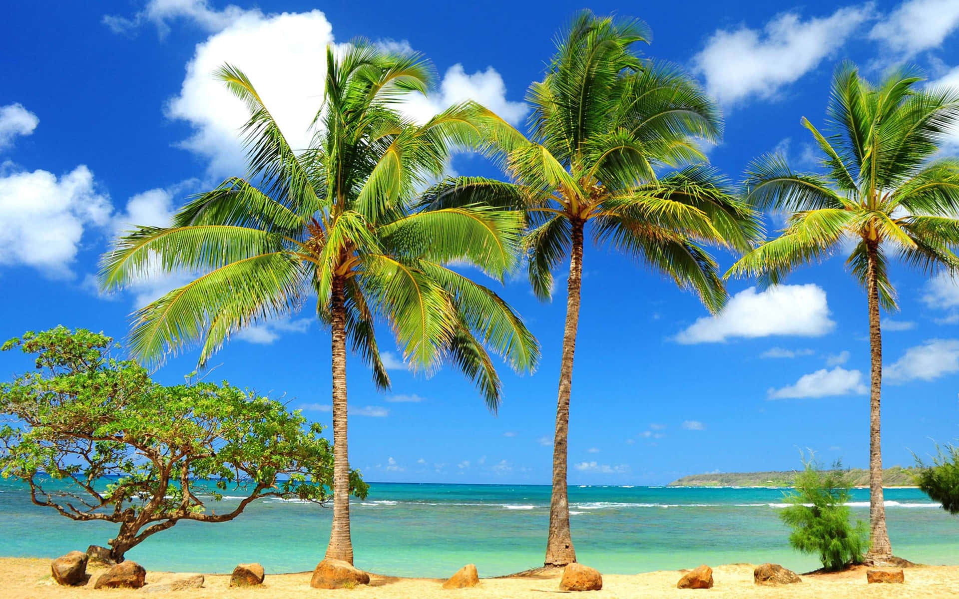 Enjoy The Peace Of An Oasis With This Tranquil Desktop Wallpaper. Background