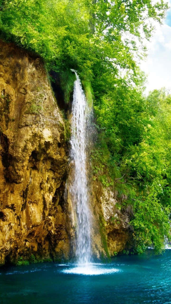 Enjoy The Peaceful Beauty Of A Serene Landscape. Background