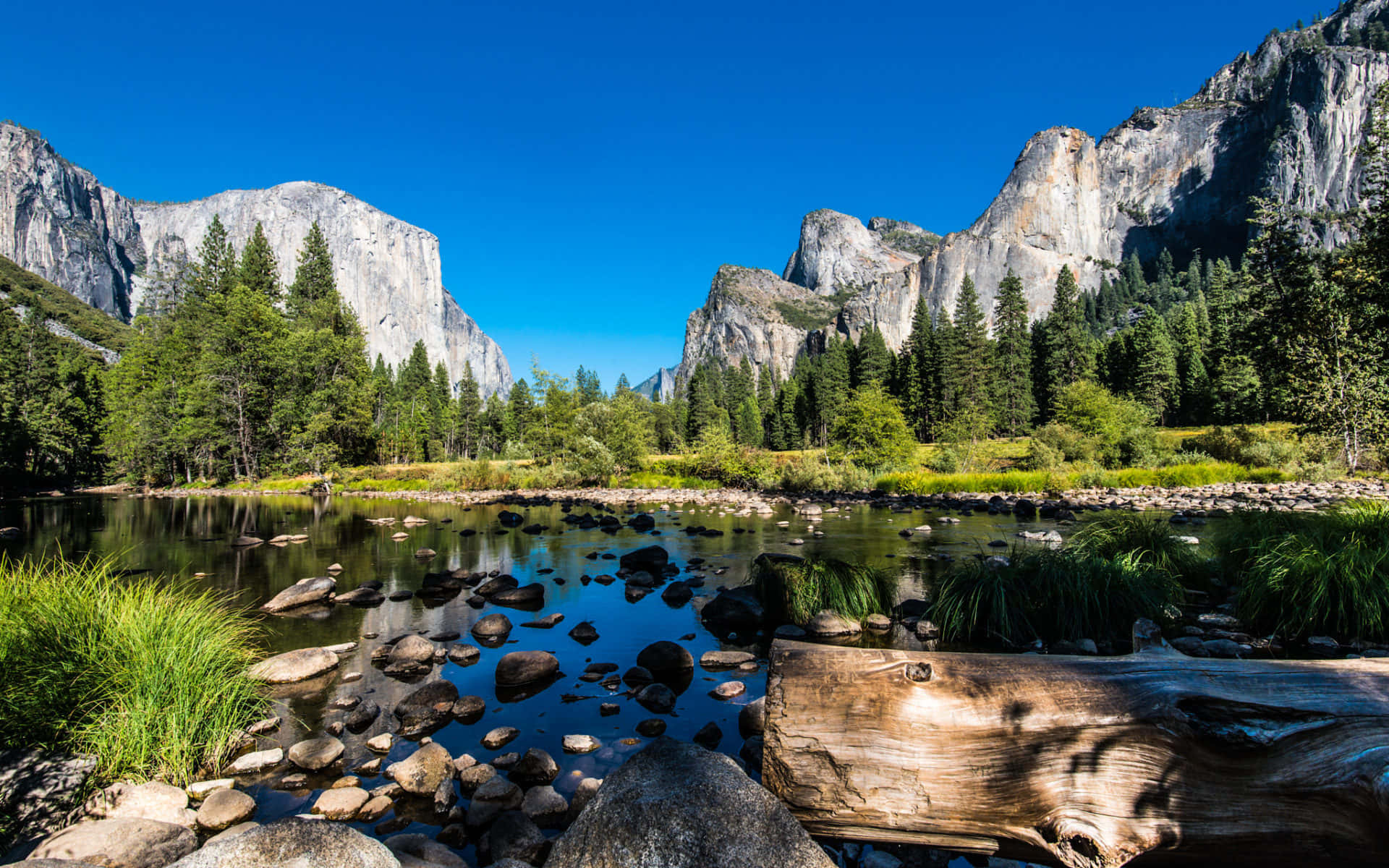 Enjoy The Perfect Summer In California Background