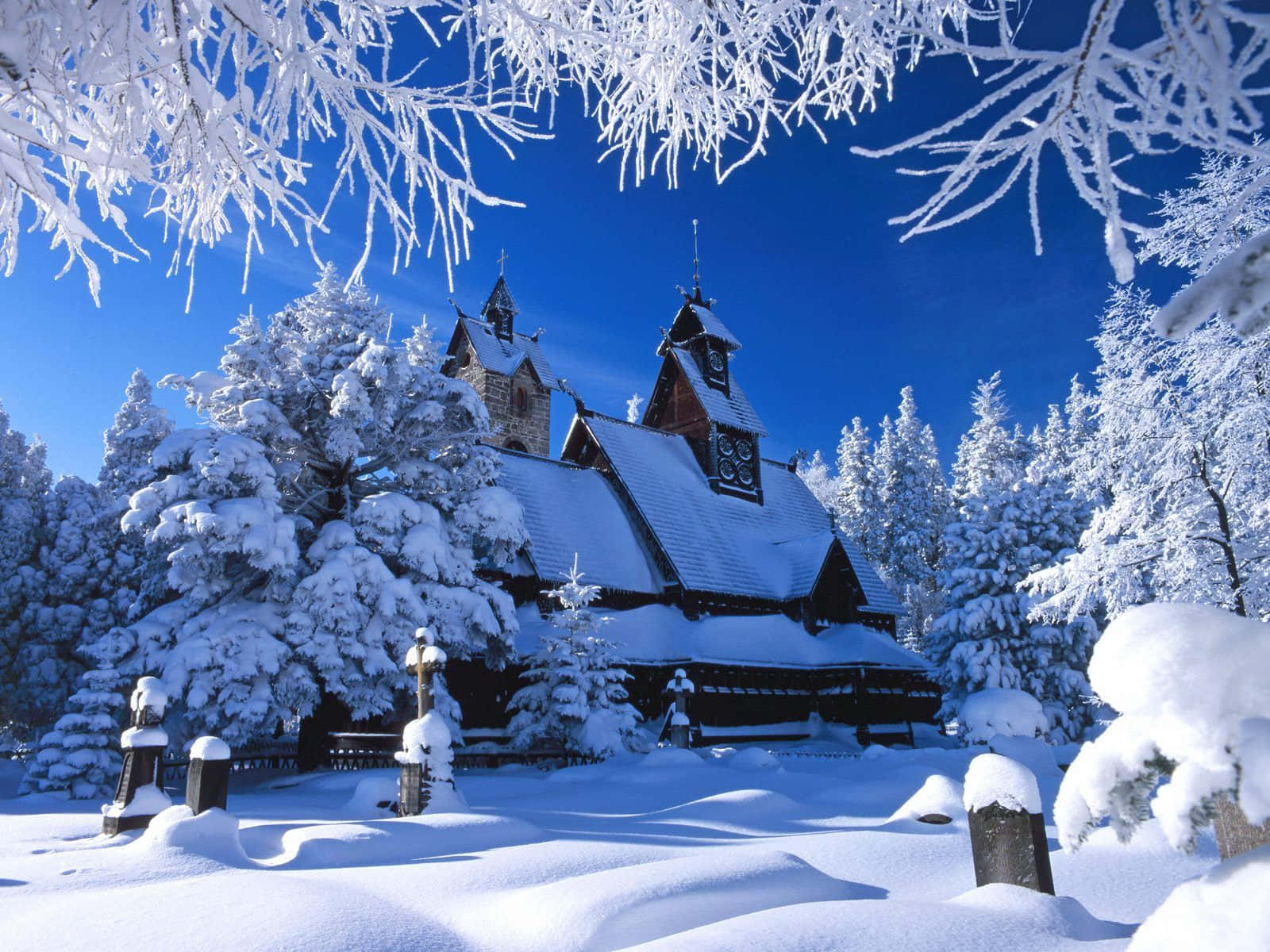 Enjoy The Perfect Winter Moment! Background