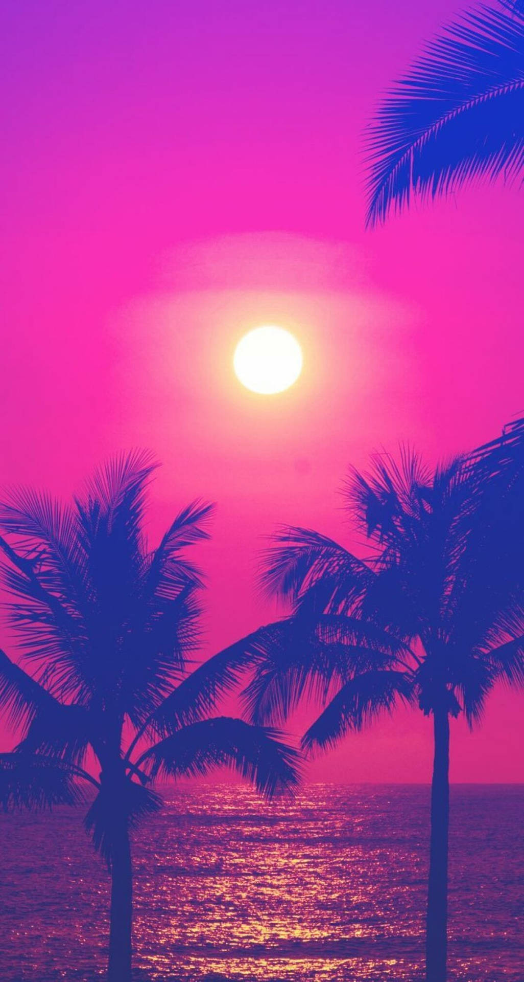 Enjoy The Perfectly Pink Sunset Background