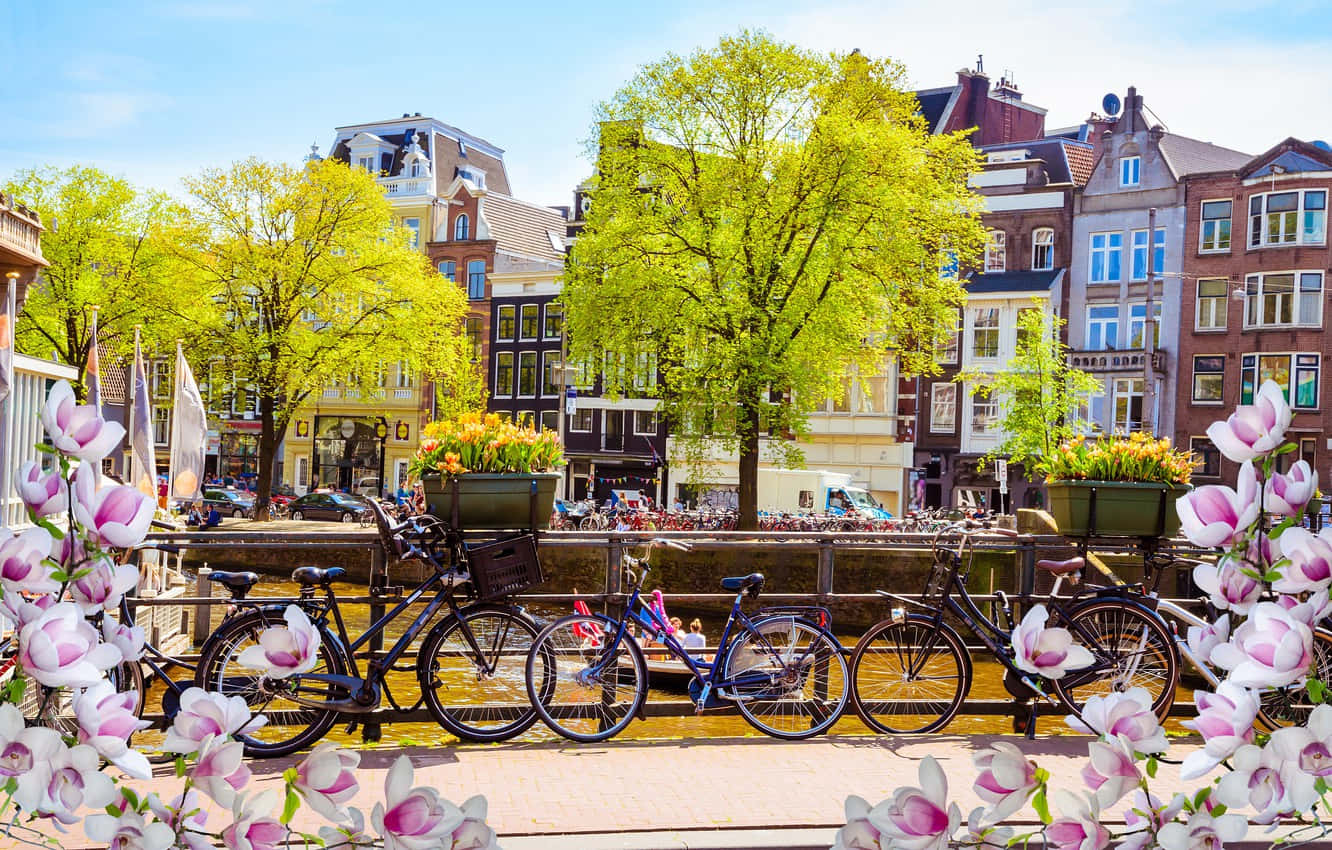 Enjoy The Picturesque And Vibrant Amsterdam During The Idyllic Springtime Background