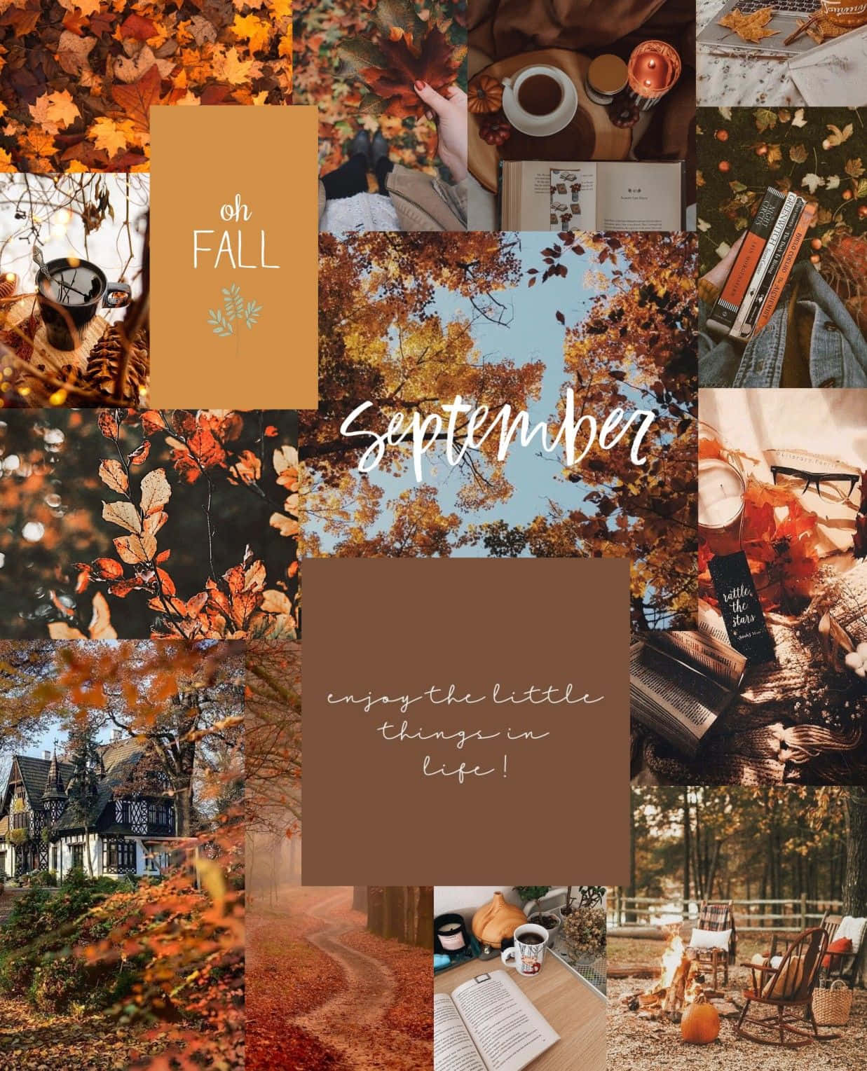 Enjoy The Picturesque Beauty Of Fall With This Scenic Fall Collage Desktop Wallpaper.