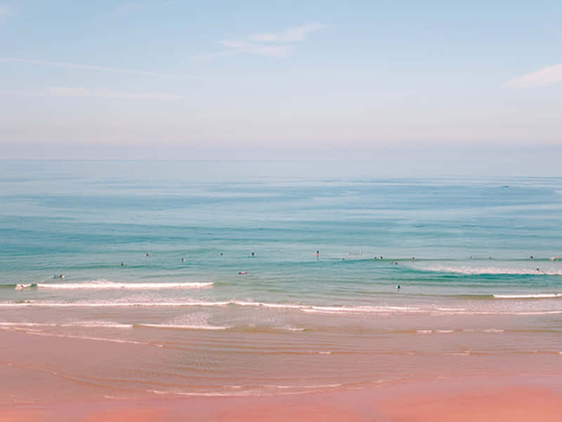 Enjoy The Pink Ocean Horizon For A Peaceful Beach Aesthetic