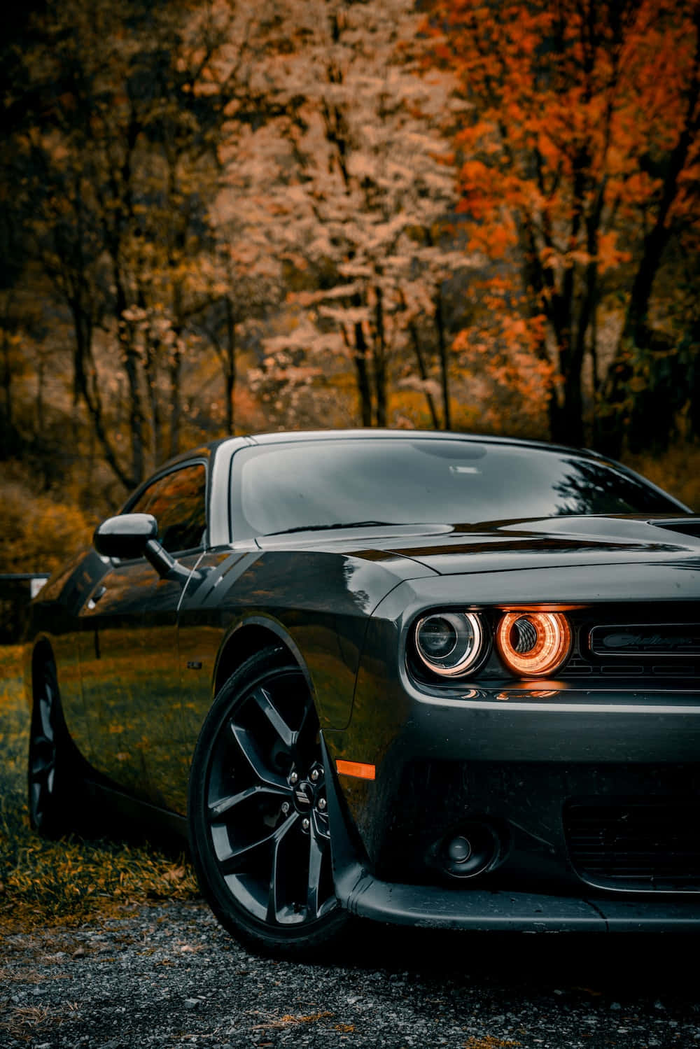 Enjoy The Power And Style Of The Dodge Challenger 4k
