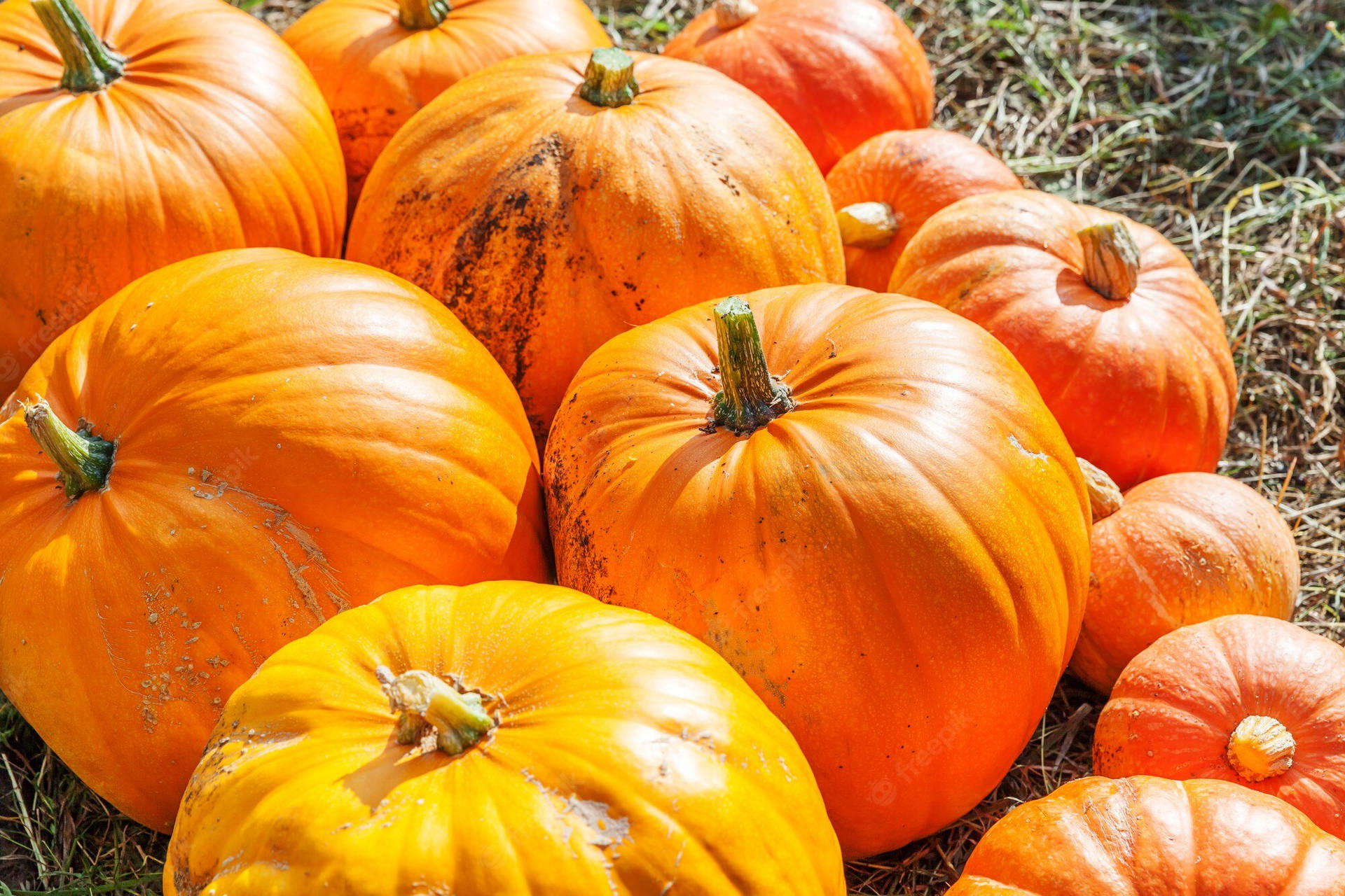 Enjoy The Quiet Country Atmosphere Of Fall Farm Background