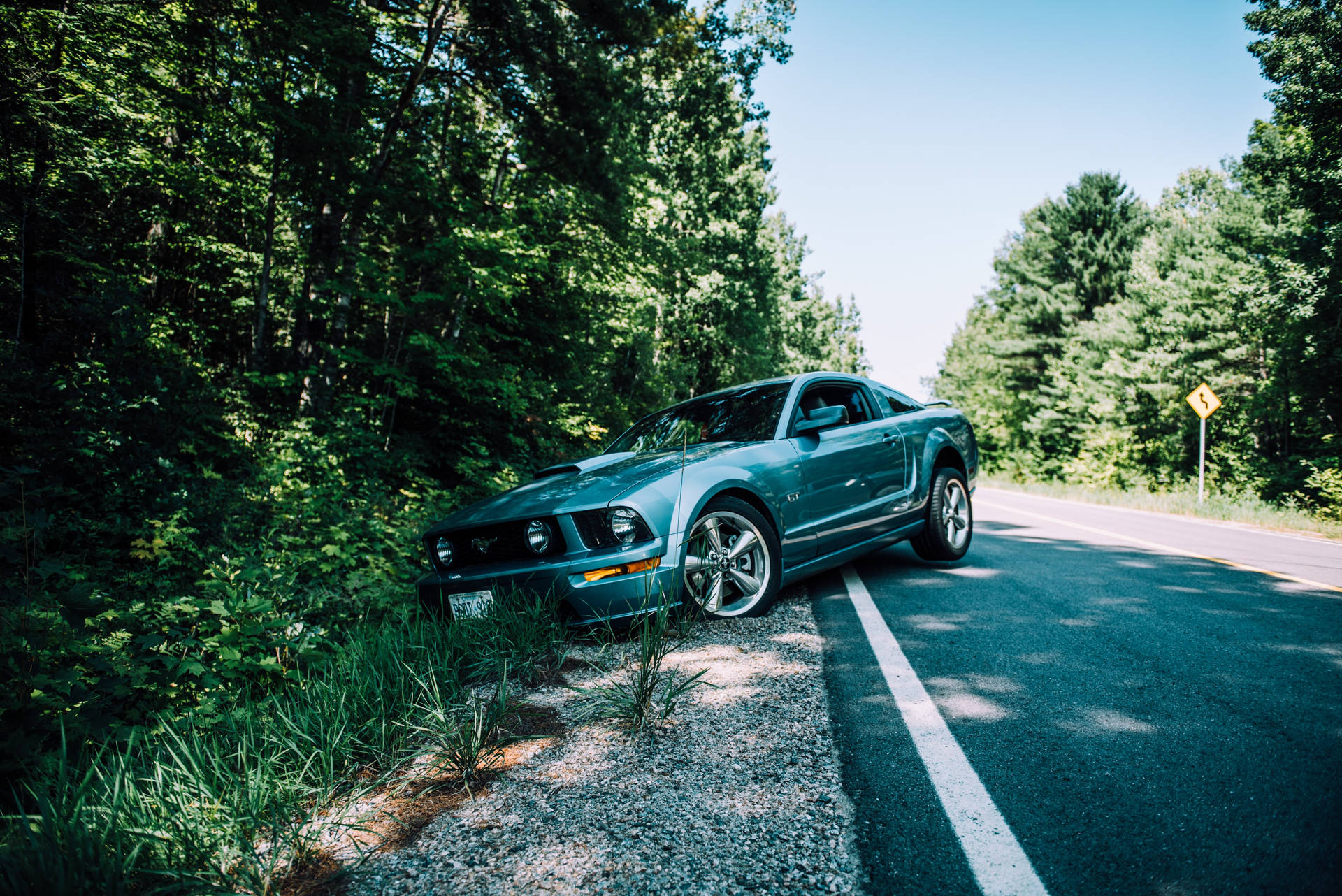 Enjoy The Ride With This Cool Mustang 🚘 Background