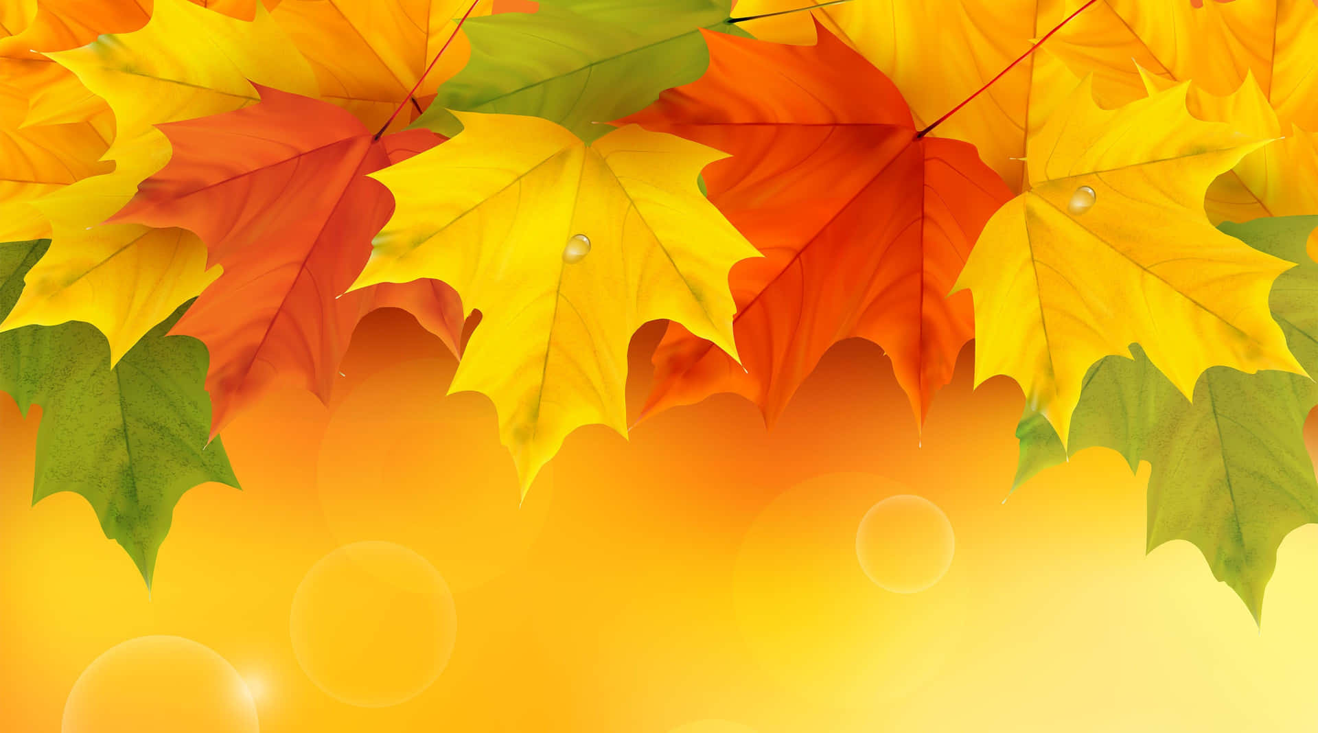 Enjoy The Scenery Of Fall Background