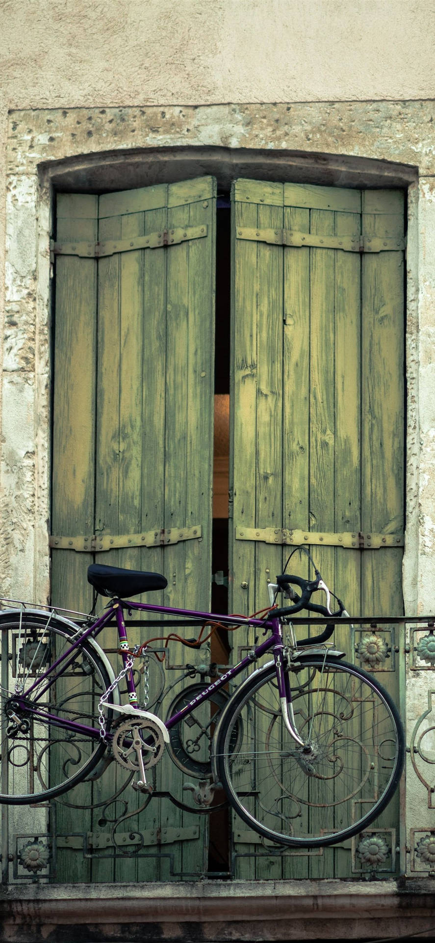 Enjoy The Scenery With A Bicycle Iphone Background