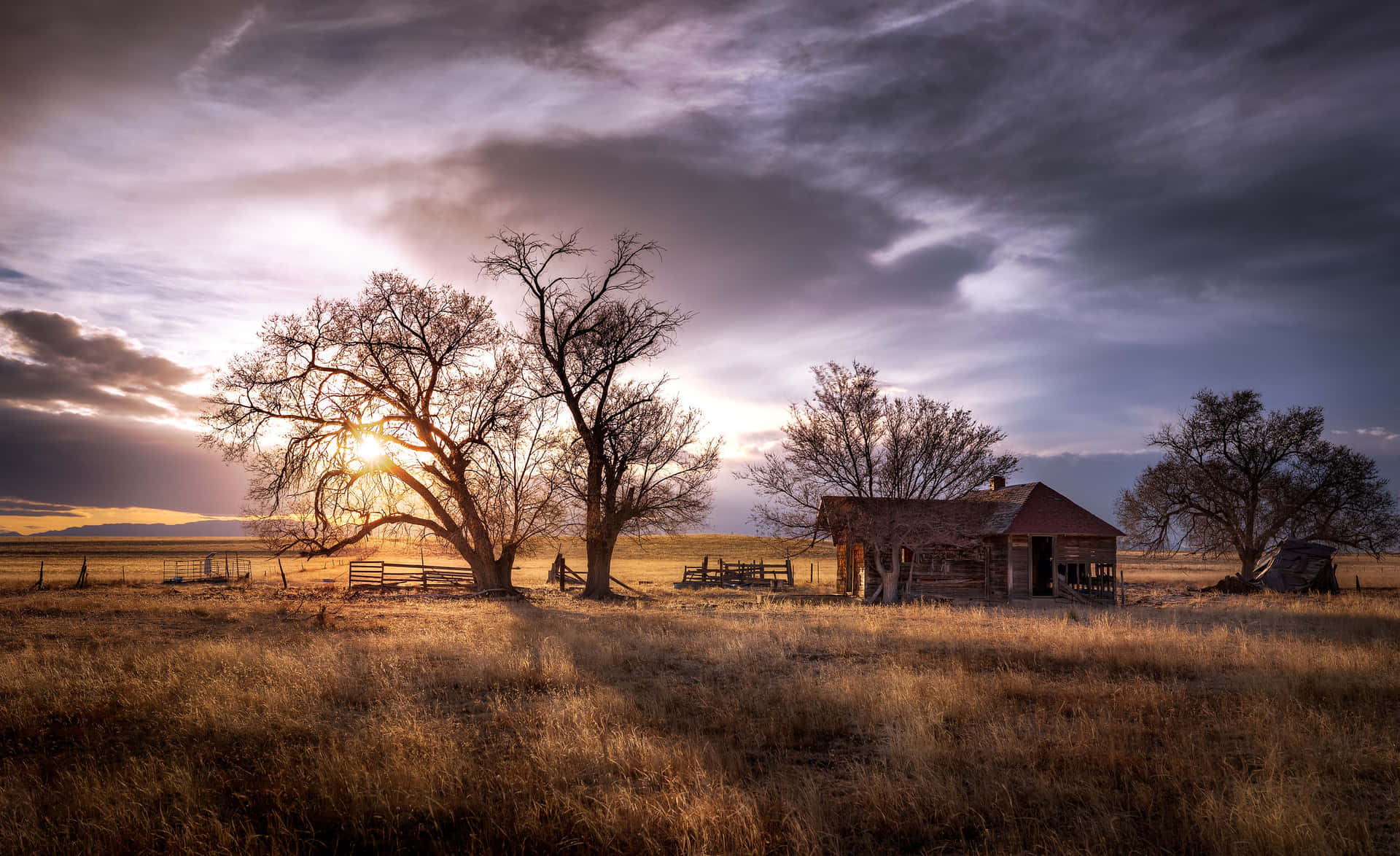 Enjoy The Scenic Beauty Of A Ranch In The Summer. Background