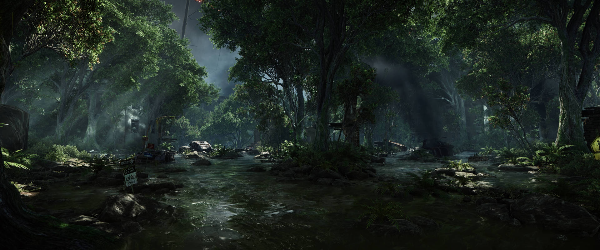 Enjoy The Serene Beauty Of A Forest On The Dual Monitor Setup Background