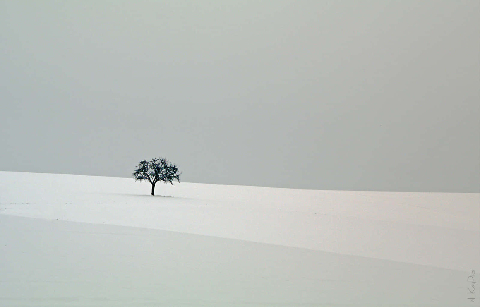 Enjoy The Serene Beauty Of A Peaceful Winter Background