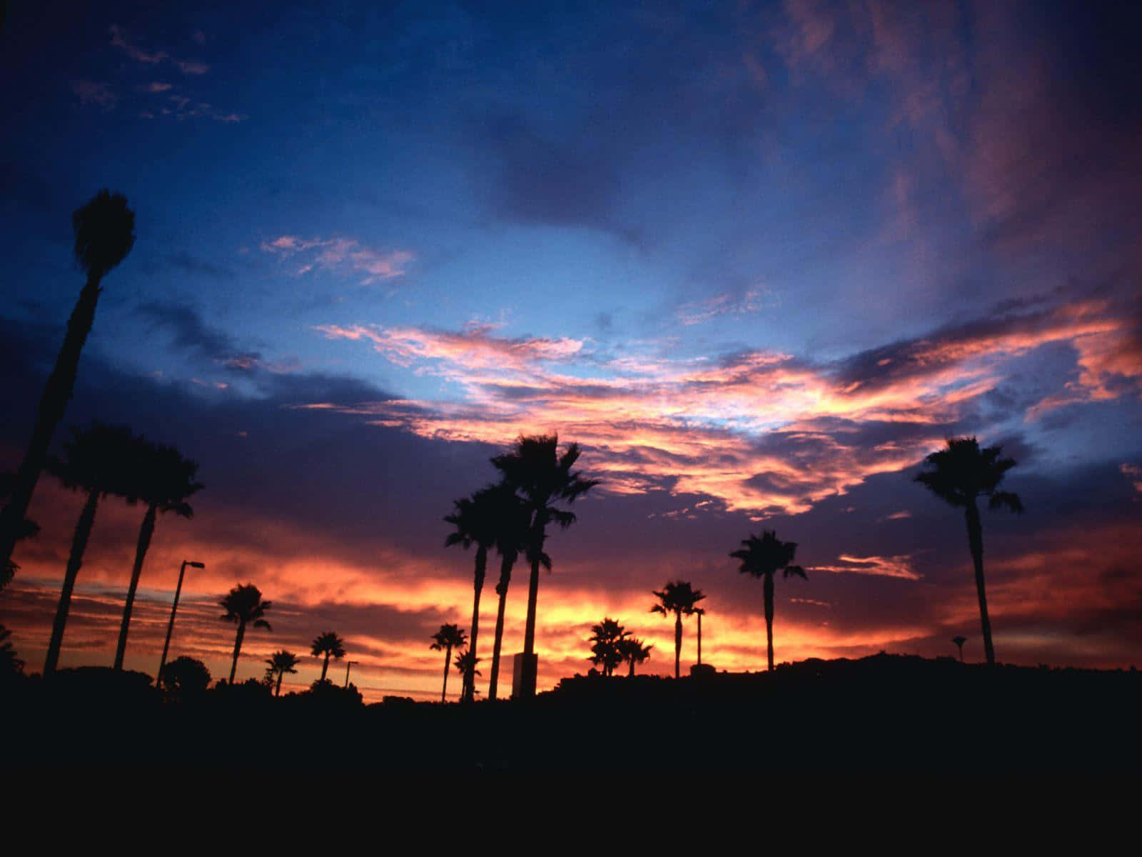 Enjoy The Serene Views Of Southern California Background