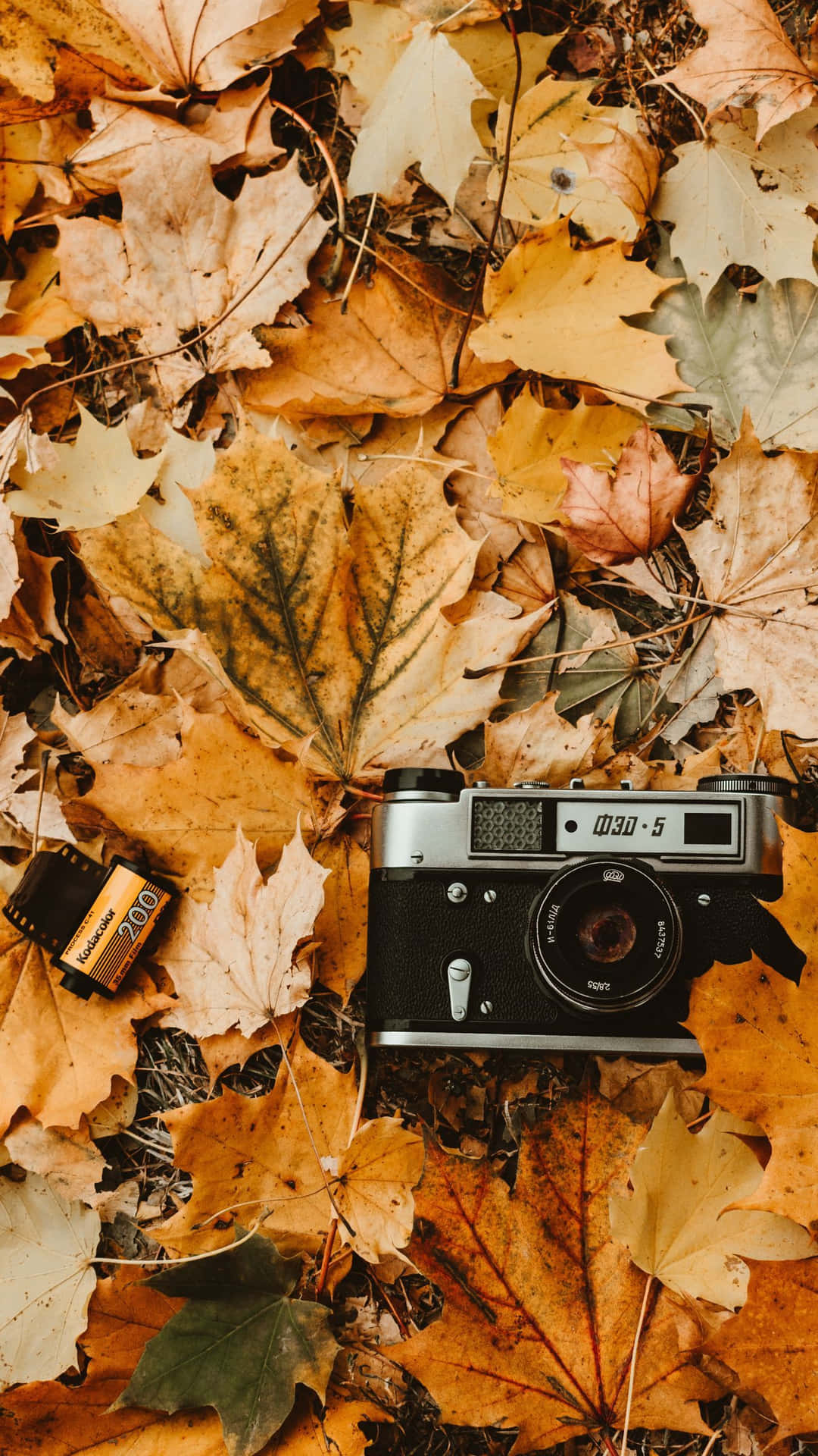 Enjoy The Serenity Of A Vintage Fall Background