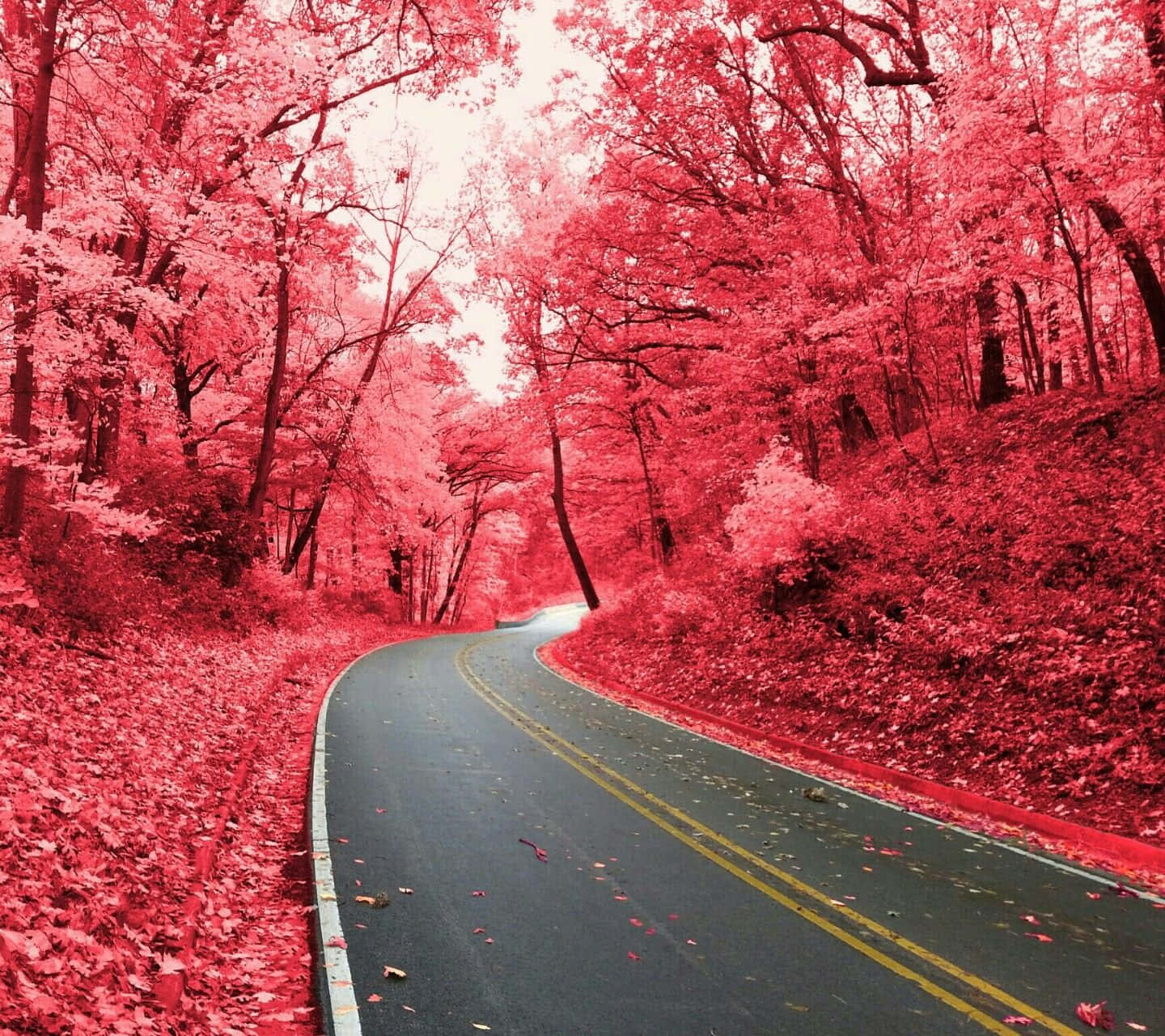 Enjoy The Serenity Of The Crisp Autumn Air In A Beautiful Pink Fall Landscape. Background