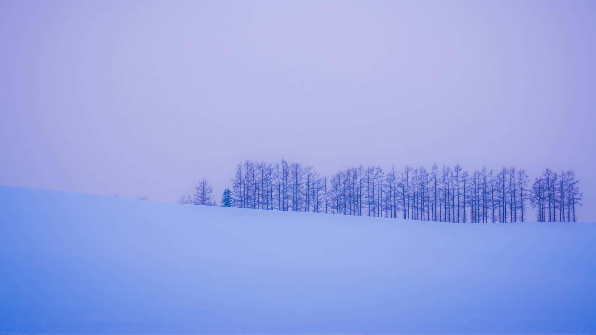 Enjoy The Simple Beauty Of A Minimalist Winter Background