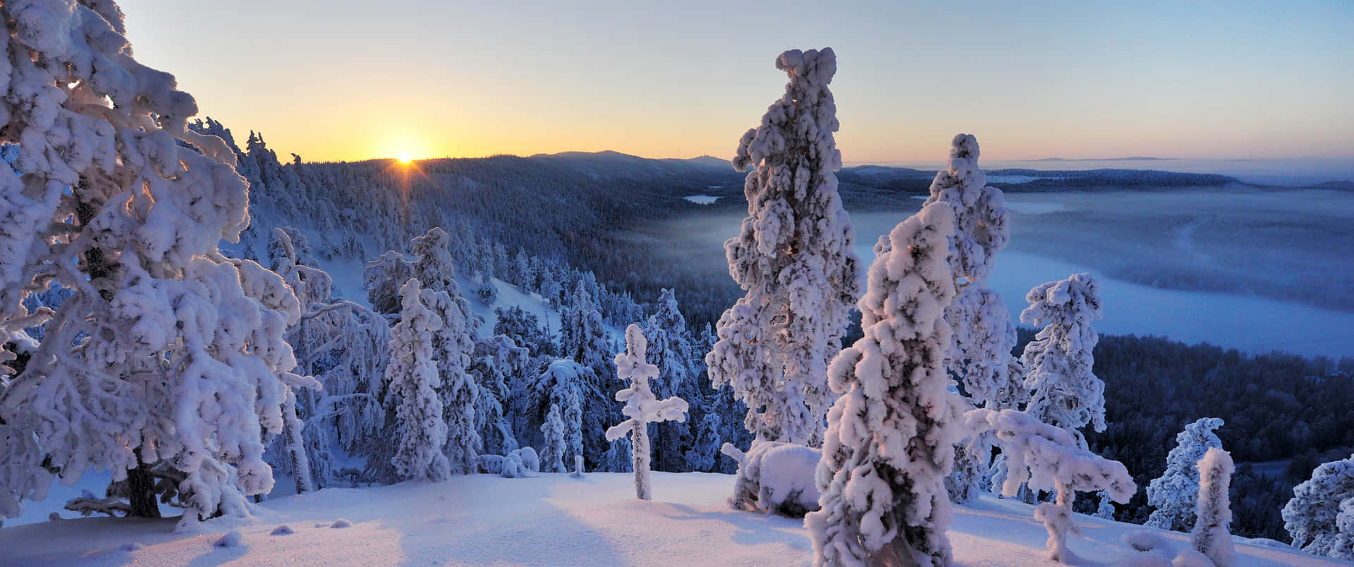 Enjoy The Splendid Beauty Of Winter Background