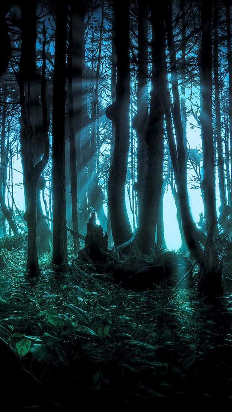 Enjoy The Spooky Vibes With Your Iphone Background