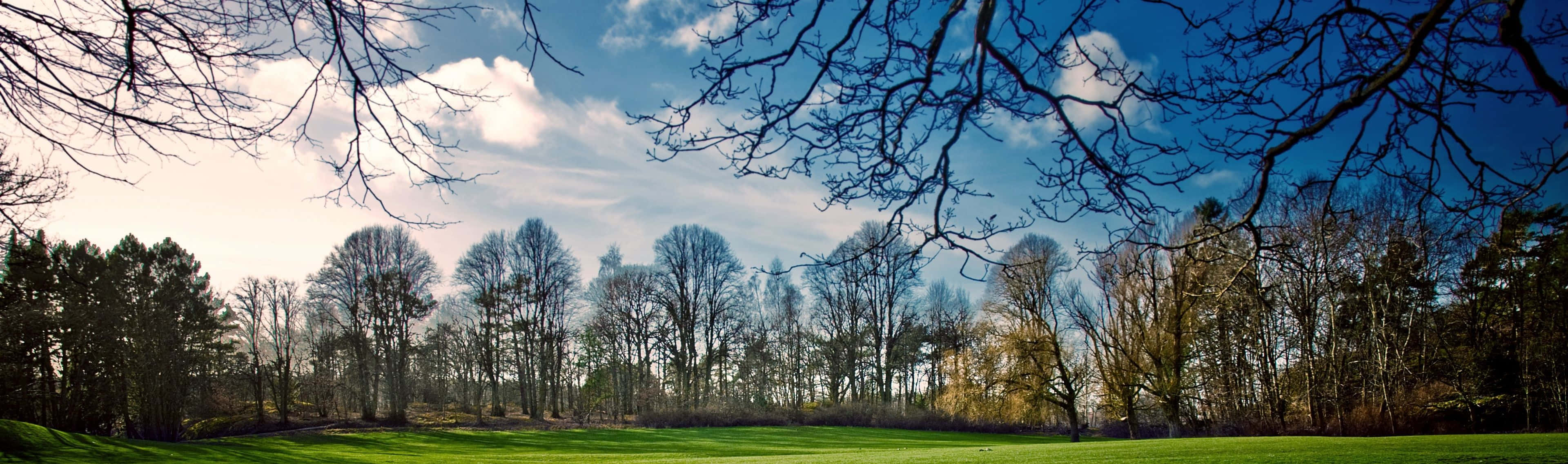 Enjoy The Spring Season With Dual Monitor